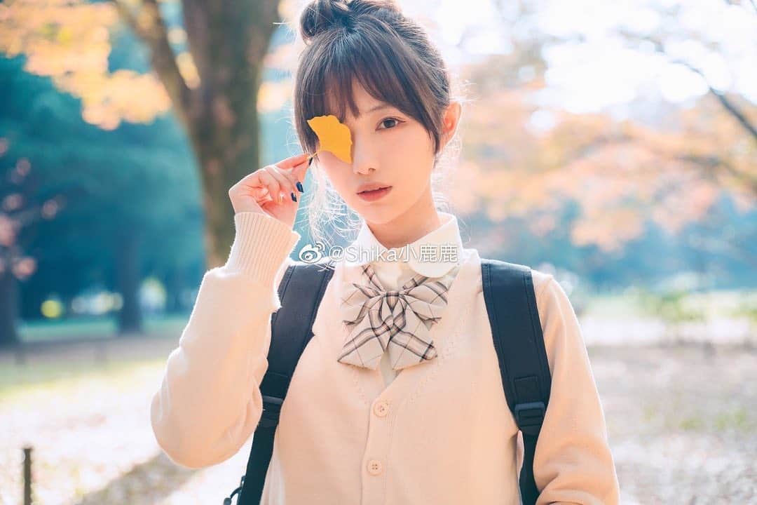 shikaのインスタグラム