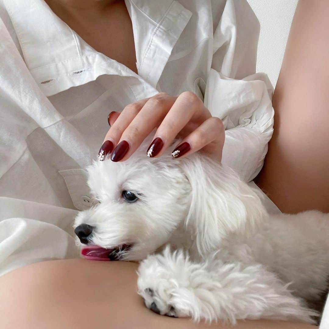 カナさんのインスタグラム写真 - (カナInstagram)「今年の #valentinenails  大人なチョコレート色🍫 @juicygold.ebisu  ． いつも色々なイベントや気分に合わせ 綺麗なネイルをしてくれている かすみさん @kasumi_e3 👱🏻‍♀️ ありがとうございます🤍 ． #juicygold #ebisu #cyberjapan」2月10日 0時05分 - _kana627_