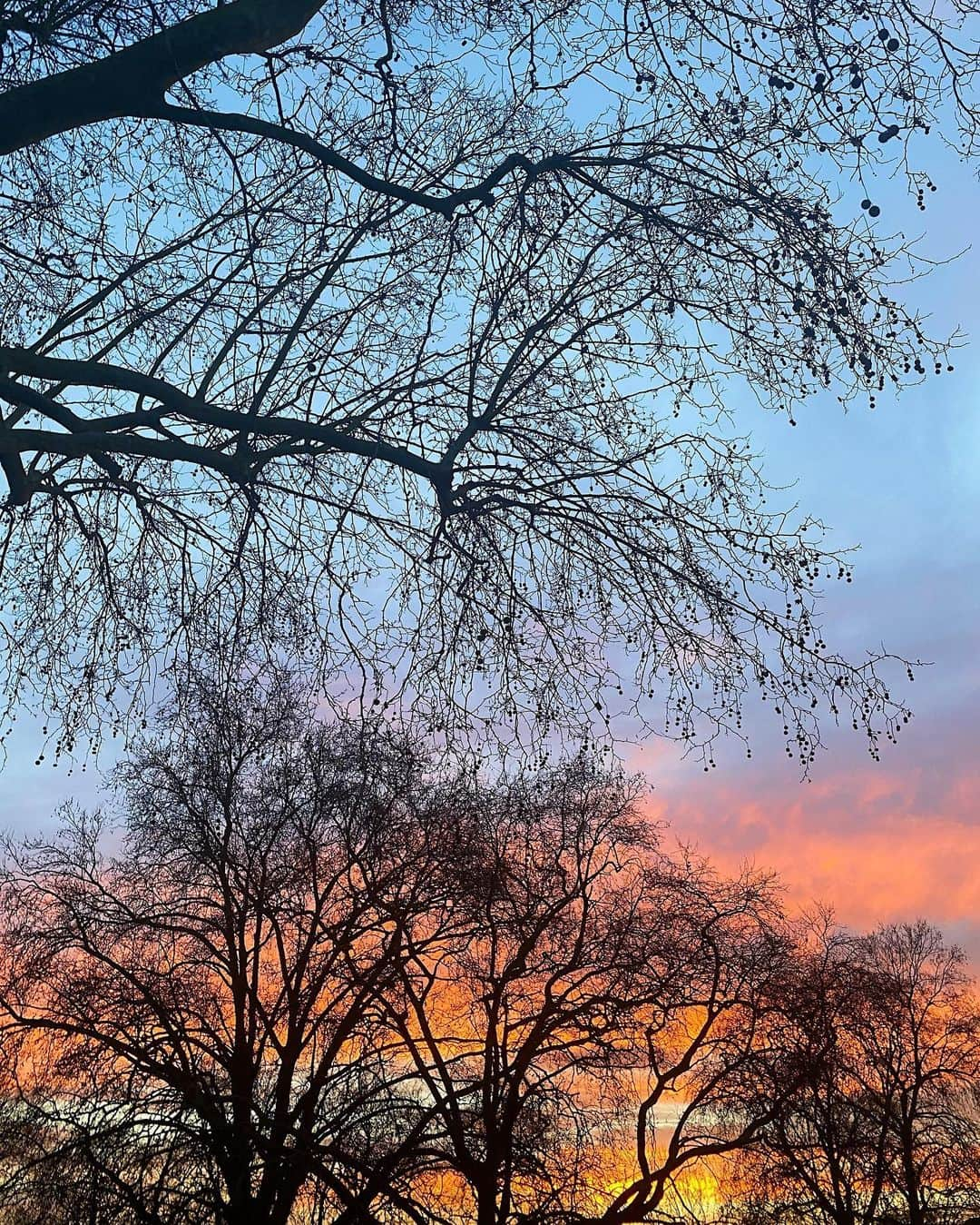 タニヤ・バーさんのインスタグラム写真 - (タニヤ・バーInstagram)「most beautiful sky outside my front door the other evening 🧡」2月10日 0時13分 - tanyaburr