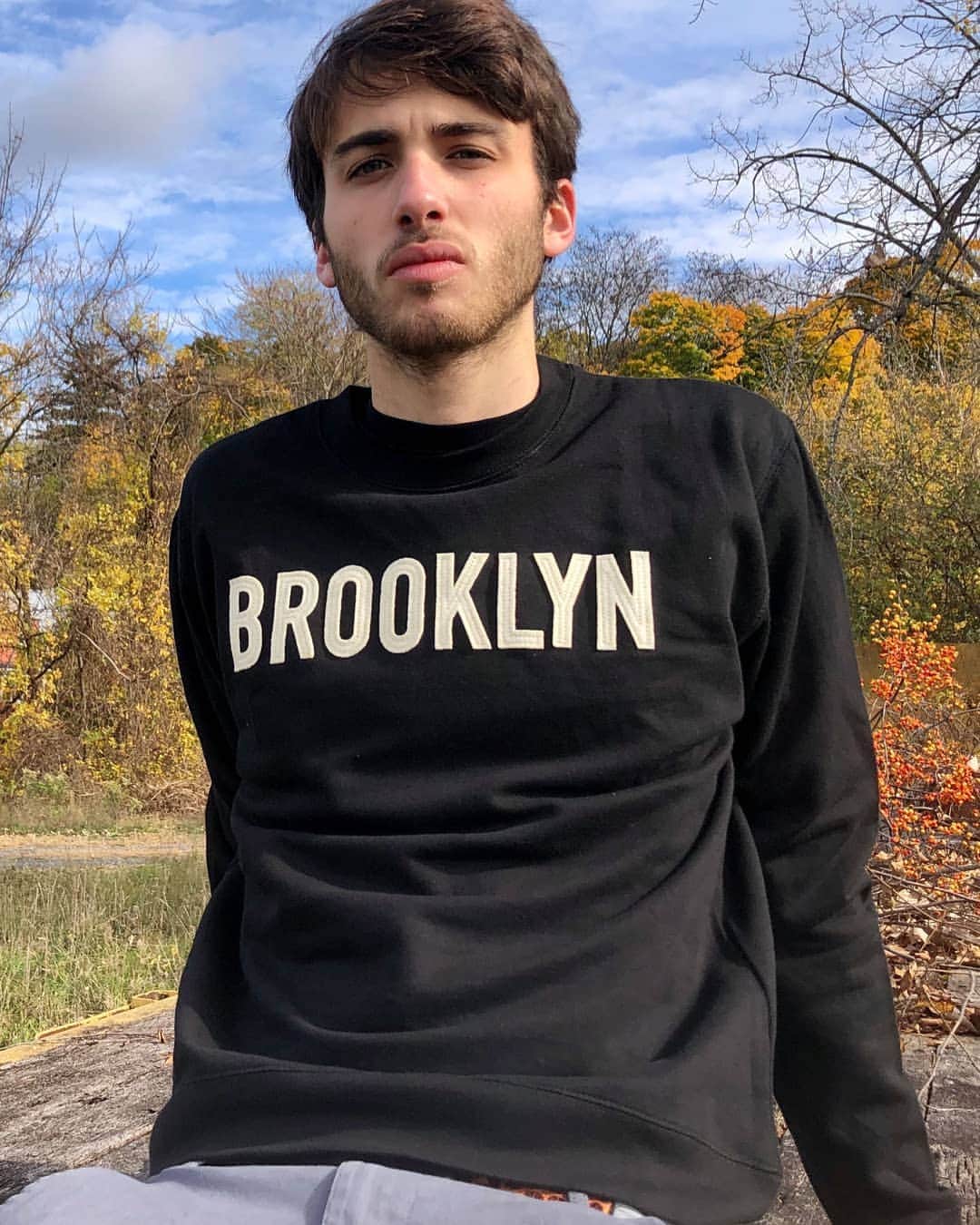 ブルックリンインダストリーズのインスタグラム：「Aslan in the Captain Crew Neck. Hand appliqued in the USA.  Also available in a zip up, and a hoodie.  #brooklynindustries #liveworkcreate」