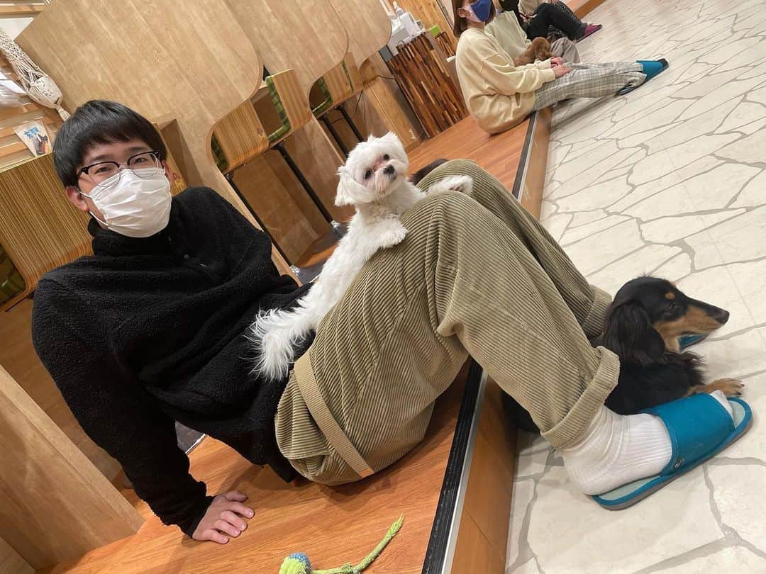 崎山祐のインスタグラム：「あけましておめでとうございます。」