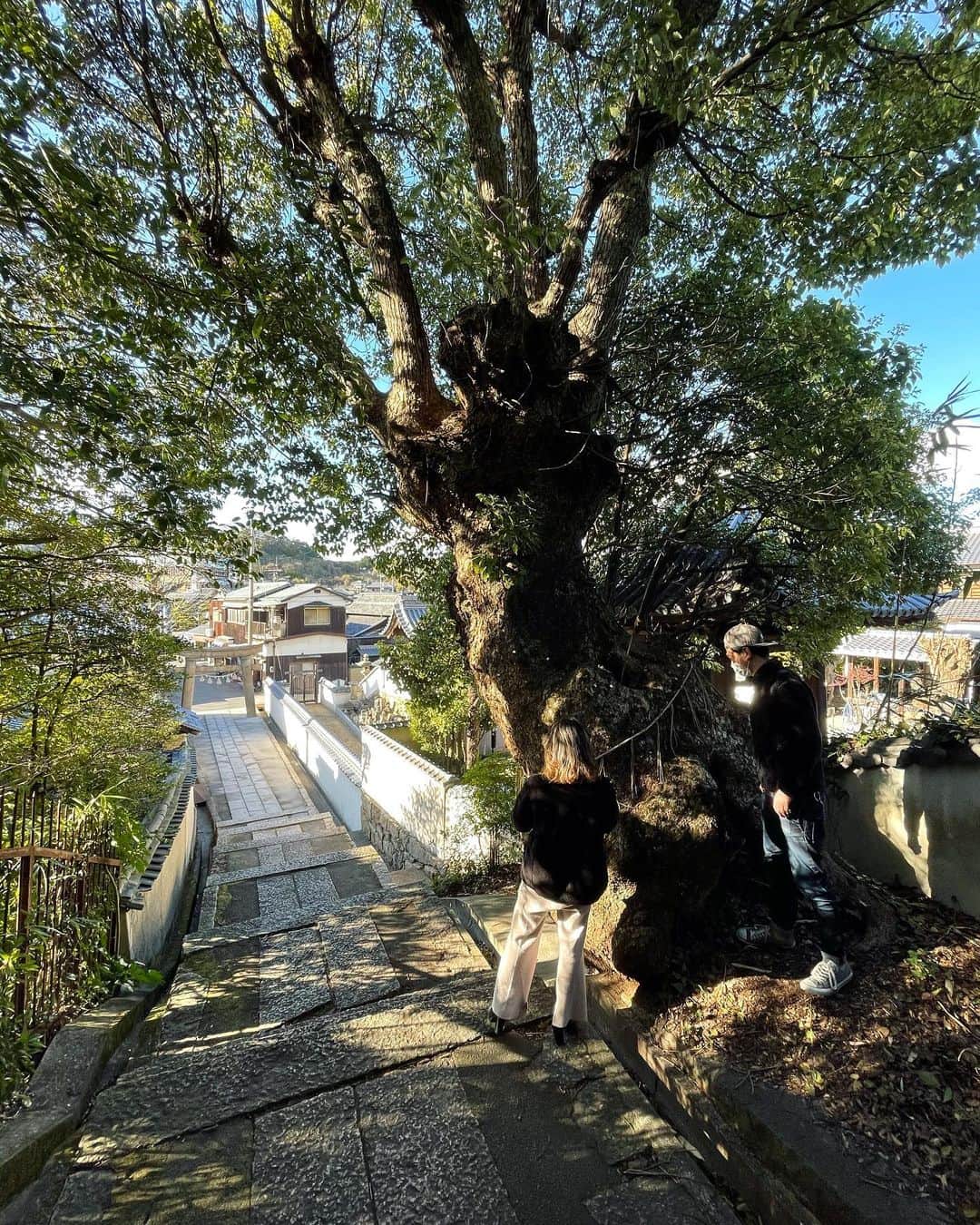 小堺大輔さんのインスタグラム写真 - (小堺大輔Instagram)「.  直島初上陸。  自然とアートと宿と人と。  見せ方、見え方。  良いところでした！」2月9日 16時09分 - daisuke_kosakai