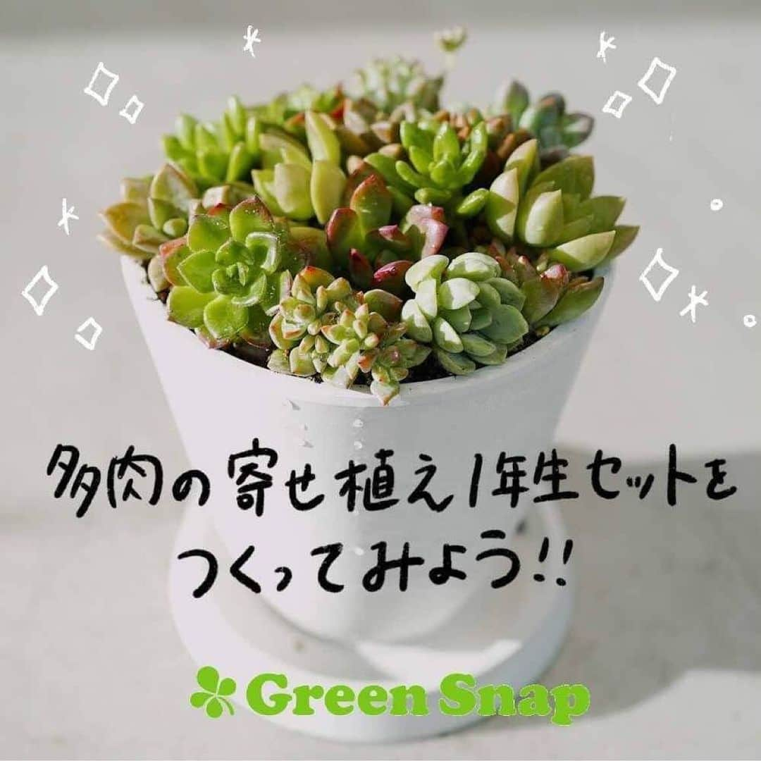 みどりで、つながる GreenSnapのインスタグラム