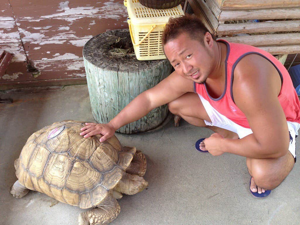 吉田隆司さんのインスタグラム写真 - (吉田隆司Instagram)「Me and the turtle🐢 Photo from a few years ago… #dragongate #prowrestling #photography #photo #zoo #animal #turtle #camera #ドラゴンゲート #プロレス #亀 #動物 #動物園 #日サロ #동물 #동물의숲 #동물병원 #luchalibre」2月9日 17時00分 - yoshidatakashidg