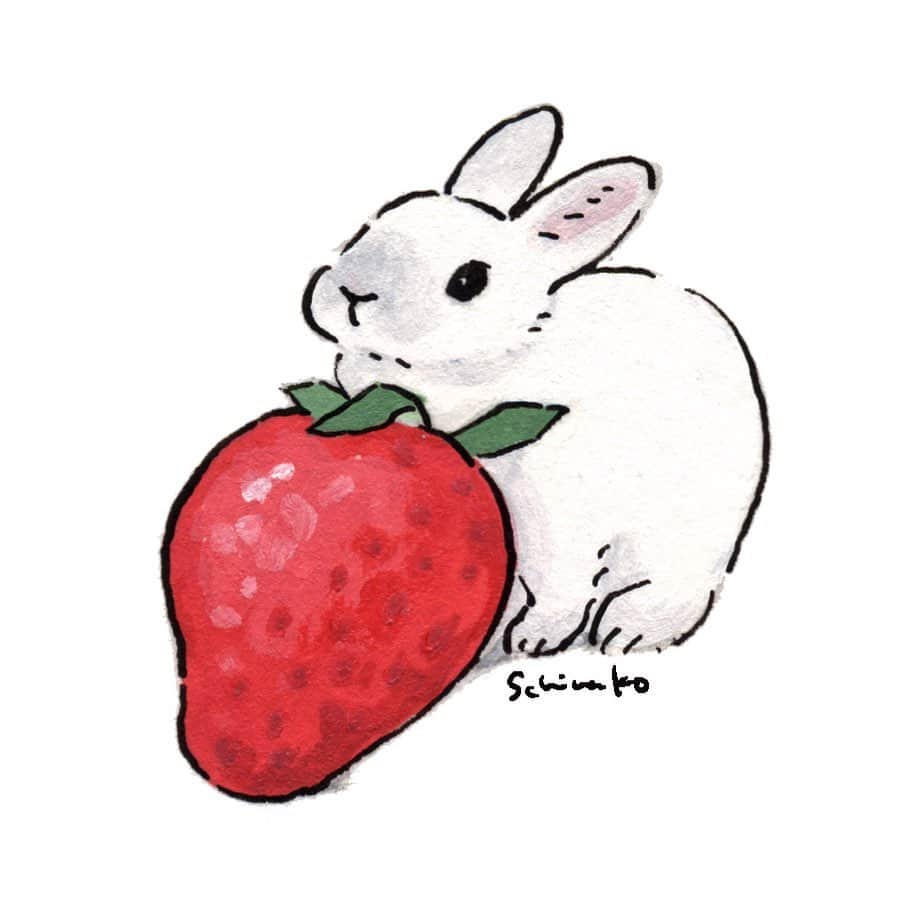 森山標子(しなこ)/Schinakoのインスタグラム：「I love strawberries. My bun loves strawberry calyxes🍓 私は苺が大好物なので、ブランに苺を食べさせたことがありません。ブランはヘタ専門です🐇🍓 最近スーパーで苺を買わずに帰るのが難しいです…高級牧草しか食べないブランのこと言えないです🙈 * #illustration#art#drawing#design#acrylicpaint#アクリル絵の具#rabbit#bunny#うさぎ」