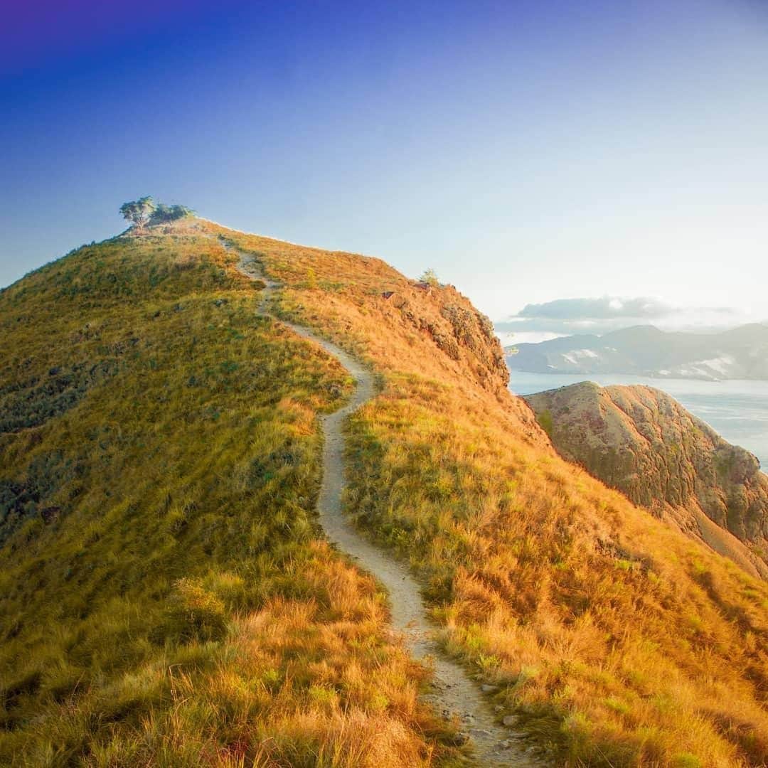 Canon Asiaのインスタグラム：「Complementary colours with the use of leading lines (the road) and appropriate negative spaces made this landscape shot of Padar Island an extraordinary one. The story behind this photo? A 4am climb to the highest point on the island. ⁣ .⁣ The soft, fluffy textures 🏞  on the grass added a fantasy game-like aesthetic, as @heyitsnuel questions: 'Is the legendary dragon slayer sword hidden up there?'⁣ .⁣ 📷 Image by @heyitsnuel using the Canon EOS 550D • EF-S18-55mm f/3.5-5.6 IS II • f/7/1 • 1/20 • ISO 100 • 18mm⁣ .⁣ Got a stunning shot you're proud of? Tag them with #canonasia or submit them on My Canon Story, link in bio!⁣ .⁣ #canonasia #photography #explore #nature #landscape #complementary #hills #trail #leadinglines #composition #colours  #minimalistic #sky #canon #lens #inspiration #subject #aesthetic #indonesia #padar」