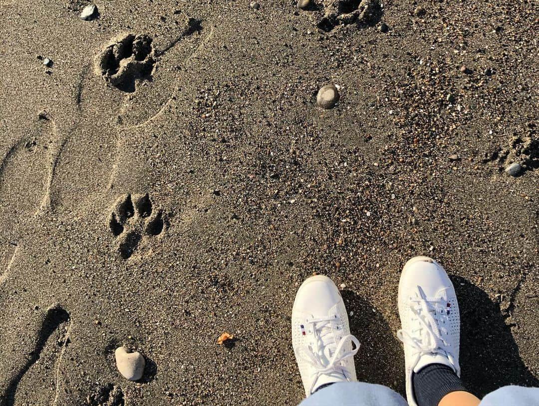 永井里菜さんのインスタグラム写真 - (永井里菜Instagram)「. . ビーチをお散歩🚶‍♀️🚶‍♀️🚶‍♀✨✨ リフレッシュタイム😋💕 .」2月9日 17時47分 - nagairinasea8