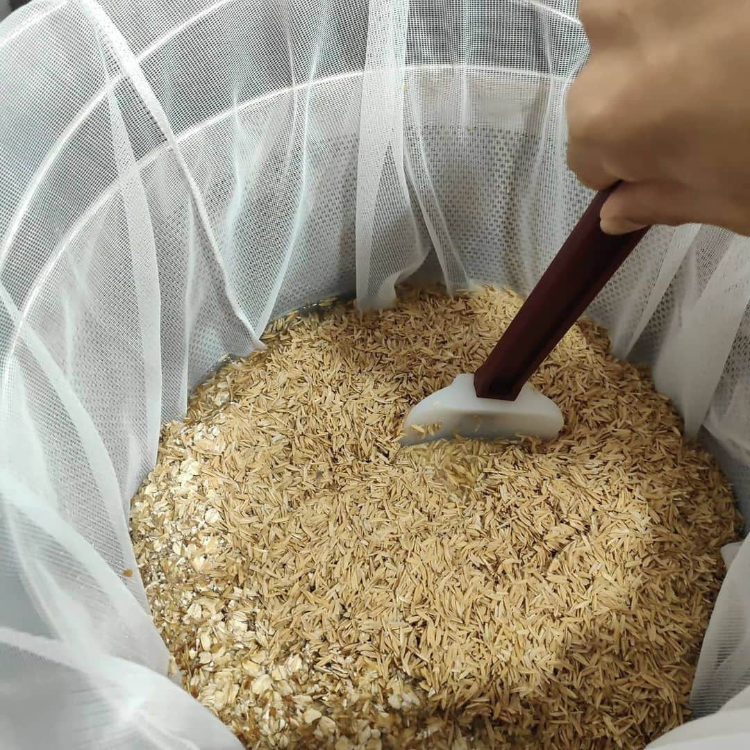 有坂翔太のインスタグラム：「Made 20 liters of beer by hand! It was too much work because of the quantity  20リットルのビール仕込み。 量が多かったので除菌もたいへん！鍋やら道具やら色々重くて大変すぎた。  #beer #クラフトビール #beerstagram #craft #craftbeer #ビール #followｍe #instafood #omnomnom #foodporn #food #goodeats #hungry #おいしい  #料理研究家 #シンガポール #シンガポール生活 #トラベル #travel #singapore #instagram #instagood #instadaily」