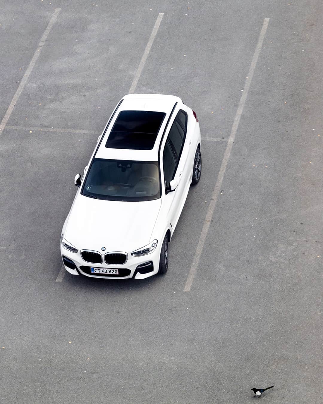 BMWのインスタグラム：「But how quick did you spot the bird? The BMW X3. #TheX3 #BMW #X3 #BMWrepost @thetravelbook #JoyElectrified __ BMW X3 xDrive30e: Fuel consumption weighted combined in l/100km: 2.4–2.1 (NEDC); 2.5–1.9 (WLTP), CO2 emissions weighted combined in g/km: 54–48 (NEDC); 58–43 (WLTP), Power consumption weighted combined in kWh/100km: 16.9–16.3 (NEDC); 27.0–24.7 (WLTP). Further information: www.bmw.com/disclaimer 184 hp, 135 kW, 300 Nm, Acceleration (0-100 km/h): 6.1 s, Top speed (limited): 210 km/h.」