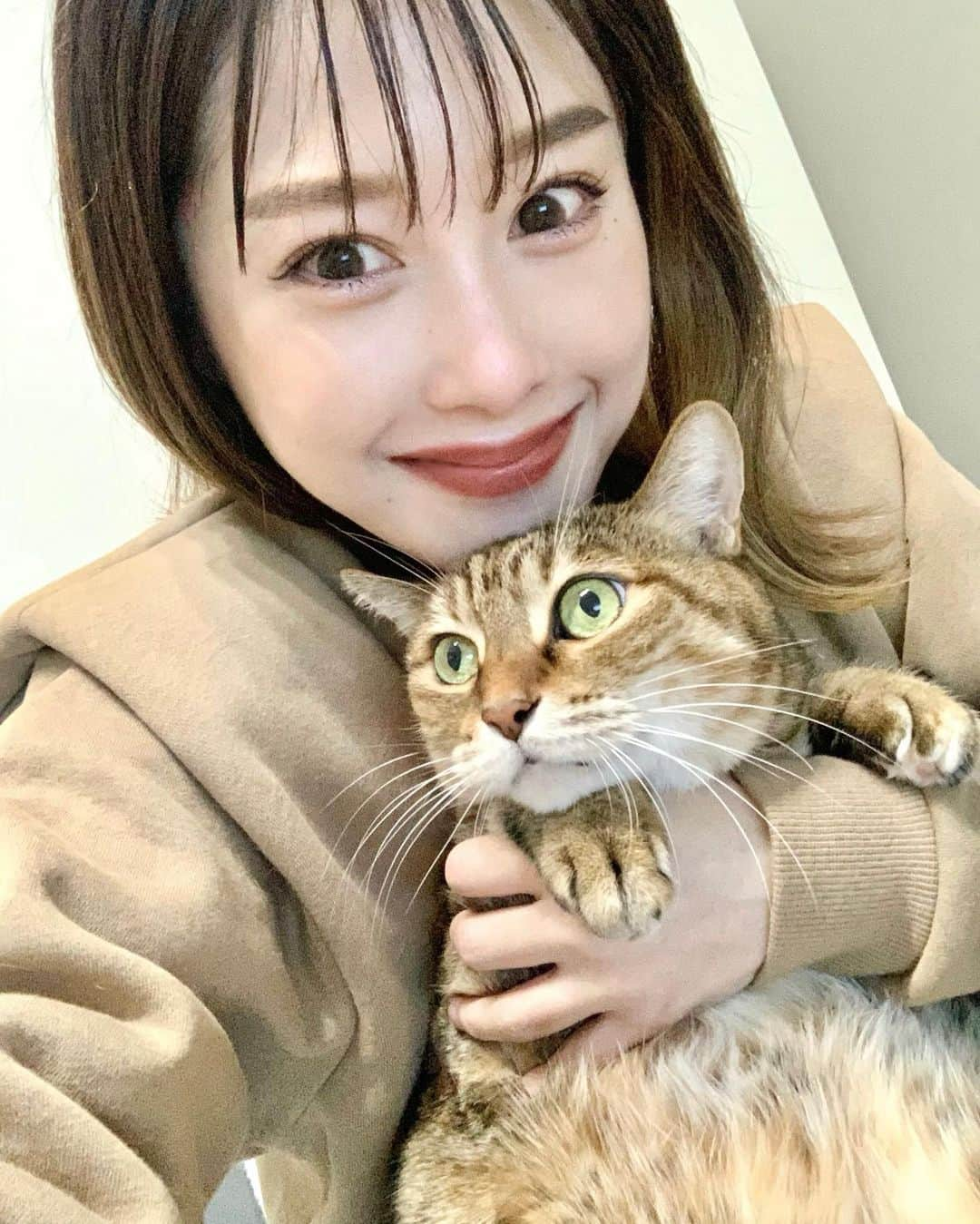 峰麻美さんのインスタグラム写真 - (峰麻美Instagram)「気付いたらもう1ヶ月も何も投稿していなかったのですが、特に載せるネタもないので葉子大先生をUPします。笑  わたしは元気にやっています（Clubhouseで）  #cat #catstagram  #葉子 #むぎわら猫  #キジトラ  #猫を載せるとフォロワーが増えると聞きました  #インスタグラマーは諦めました」2月9日 18時53分 - asaaaaami.0702