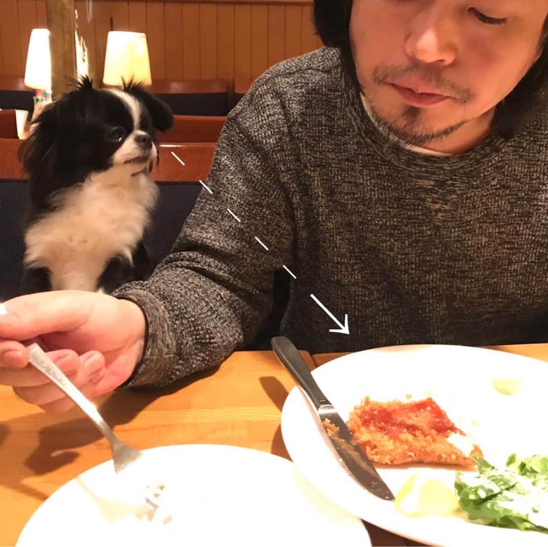 フルカワミキのインスタグラム