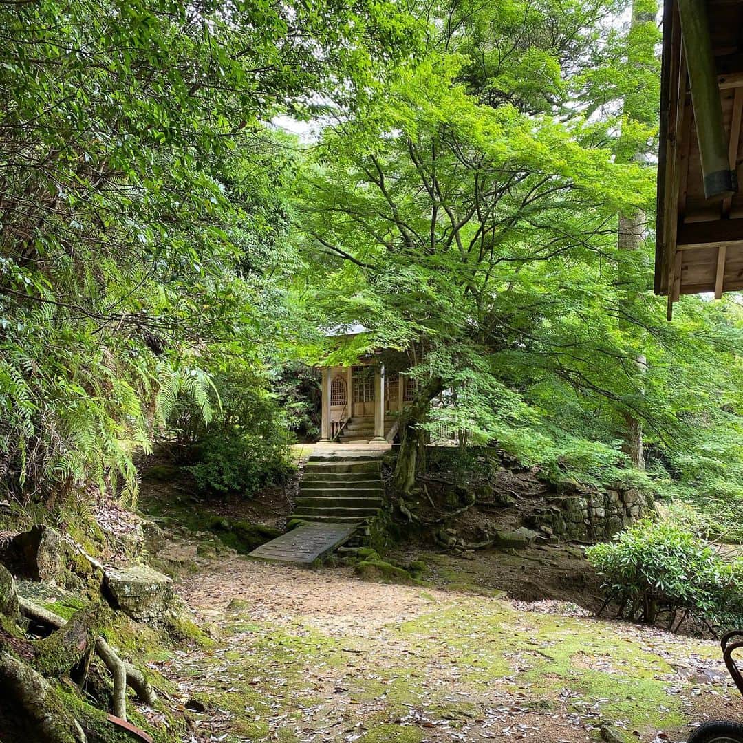 谷本貴義のインスタグラム：「宮島にこんなところがあるの、あんた知らんじゃろー。その①  #宮島 #観光」