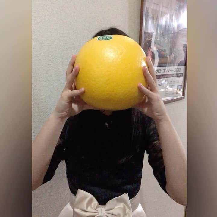 のインスタグラム：「こんばんは😊  これはなんでしょう？？  晩白柚(ばんぺいゆ)という柑橘類🍊 を頂きました😆  大っきいってもんじゃないです😳  そして、やってる事が古い私・・・ すみません😅  #びっくり #超大きい #みかん じゃないよ. . .  #拡散rtお願いします. #Dearest  #エレクトーン  #RION #hikari  #藤本凜音  #音楽ユニット　 #Libraryconcert #山口県 #周南市  #徳山駅 #徳山駅前図書館　 #1stAlbum #シンガーソングライター #3月25日　 #タイムマシン　 #女子高生シンガー　 #CD全国発売　 #弾き歌い　 #エレクトーン弾き歌い　 #フォローお願いします」
