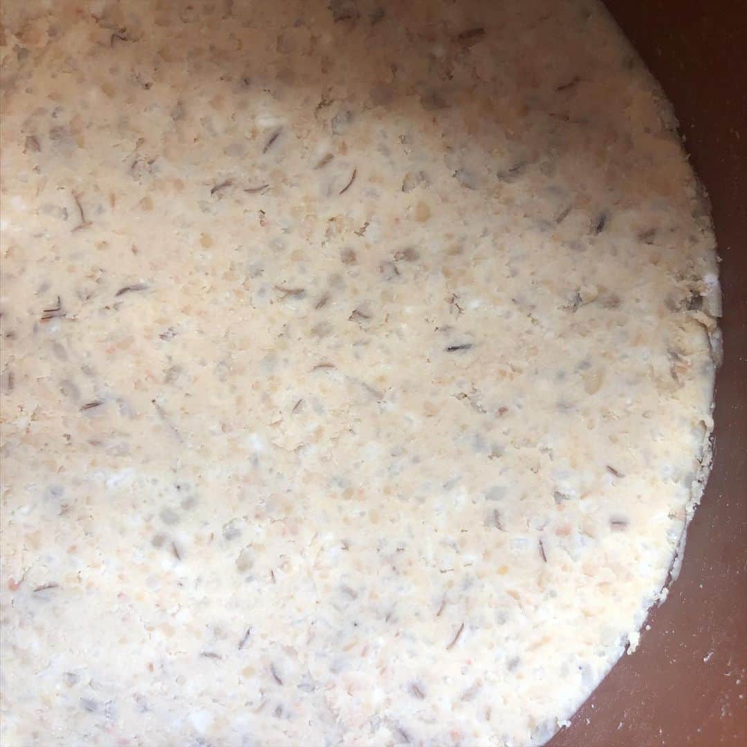 HERVA AKICOさんのインスタグラム写真 - (HERVA AKICOInstagram)「簡単に作れる 味噌キットでお味噌を仕込みました。  美味しい大豆から作ると美味しいけれど、中々、大豆を炊くの大変な時は便利。混ぜるだけで簡単。  久原本家の @kubara_official  九州のお味噌なので、甘めの麦味噌。大豆も潰してあるので、混ぜるだけ。麹も多い為、半年も待たずに使えます。  九州ではお世話になり、 大阪の家の近くでも、久原の商品を見かけるので、懐かしく思っています^ ^  そして、自家製お醤油も濾しました。いつも残ってしまうもろみも、今年は、いつもの豆腐漬けにして、半分は、乾燥させてパラパラにし、調味料がわりに使えばいいと話を聞いたので、試してみようと思ってます。  #味噌キット#久原本家#久山#久山好き#発酵食品#簡単#時短#もろみの写真が何だかわかんないですね#自家製味噌#自家製醤油」2月9日 19時44分 - herva_akiko