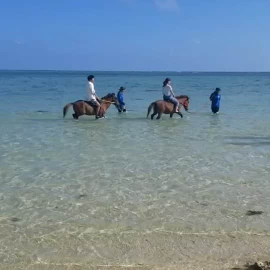 久保円華のインスタグラム：「早く旅がしたいなあ🐴 お馬さんにも飛行機にも乗りたいなあ🛫  返信できなくて申し訳ないのですが、皆様からいただく声が大変力になっています💪いつもありがとうございます😄✨  #沖縄 #南城市 #ヨナグニウマ #ANA #流れ星 #ちゅうえい さん ##久保円華」