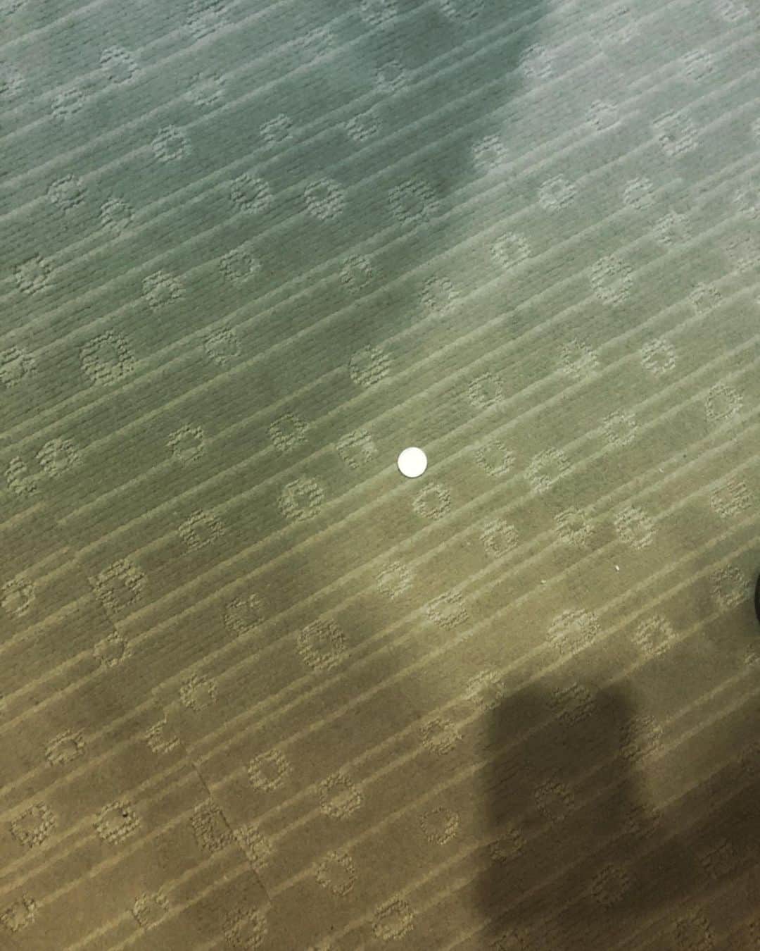 のインスタグラム：「僕の家の前に1円玉。 どーゆーこと？ これは節分の日の話。  * #藤澤ノリマサ  #fujisawanorimasa  #norimasafujisawa  #popopera #おにわそとふくわうち  *」