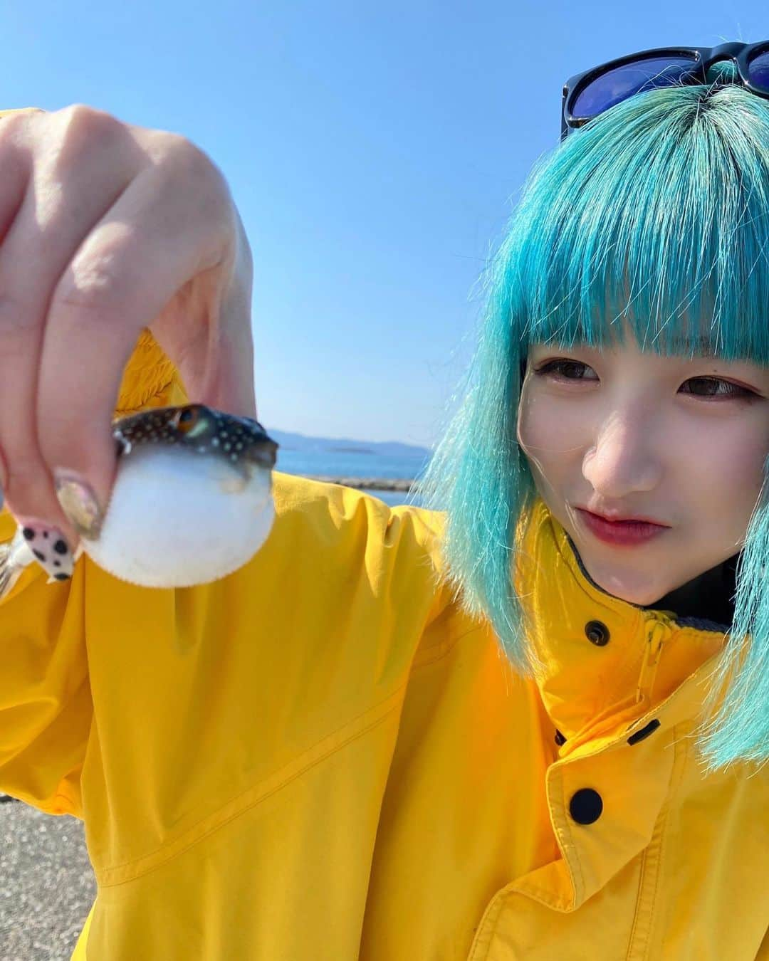 MAYUさんのインスタグラム写真 - (MAYUInstagram)「． 　 puffer fish 🐡 プハプハ鳴いてた」2月9日 19時55分 - chu_z_mayu