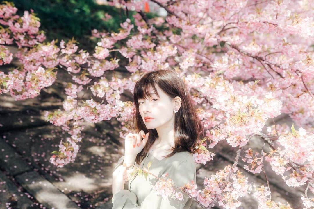ぽんぬさんのインスタグラム写真 - (ぽんぬInstagram)「. . . . . .桜が咲くと 新しい制服に袖を通した時の記憶が 毎年蘇って いまでもときめくんだ〜 いつまでも覚えていたいなぁ… . . おうちの近くに 桜並木があることを最近知ったから 今年はそこをお散歩できるのが 今から楽しみ(❁´ω`❁)🌸」2月9日 20時00分 - pon__nu