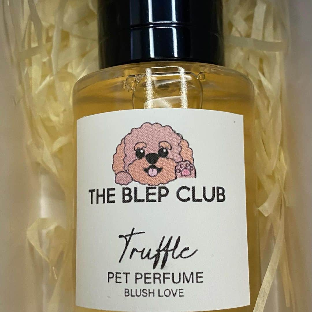 Truffle??松露?トリュフさんのインスタグラム写真 - (Truffle??松露?トリュフInstagram)「📆(9Feb21) 💝💘Introducing the newly launched #BlushLove #petperfume from @theblepclub 😘  This pet perfume keeps me smelling good at all times with just a few sprays. It produces a soft and light fruity fragrance that makes me feel like I’m taking a stroll down an apple or pear orchard 🥰 You can even personalise the perfume bottle by choosing an icon and adding your name onto the label. (See pics ➡️）You will also receive a FREE limited edition waterproof mask pouch in navy when you spend $60 and above! Doesn’t this sound like the perfect Valentine’s gift for your loved ones? Hurry get yours today while the promotion lasts 😉 #dogperfumes #香香公主」2月9日 20時06分 - trufflethetrouble