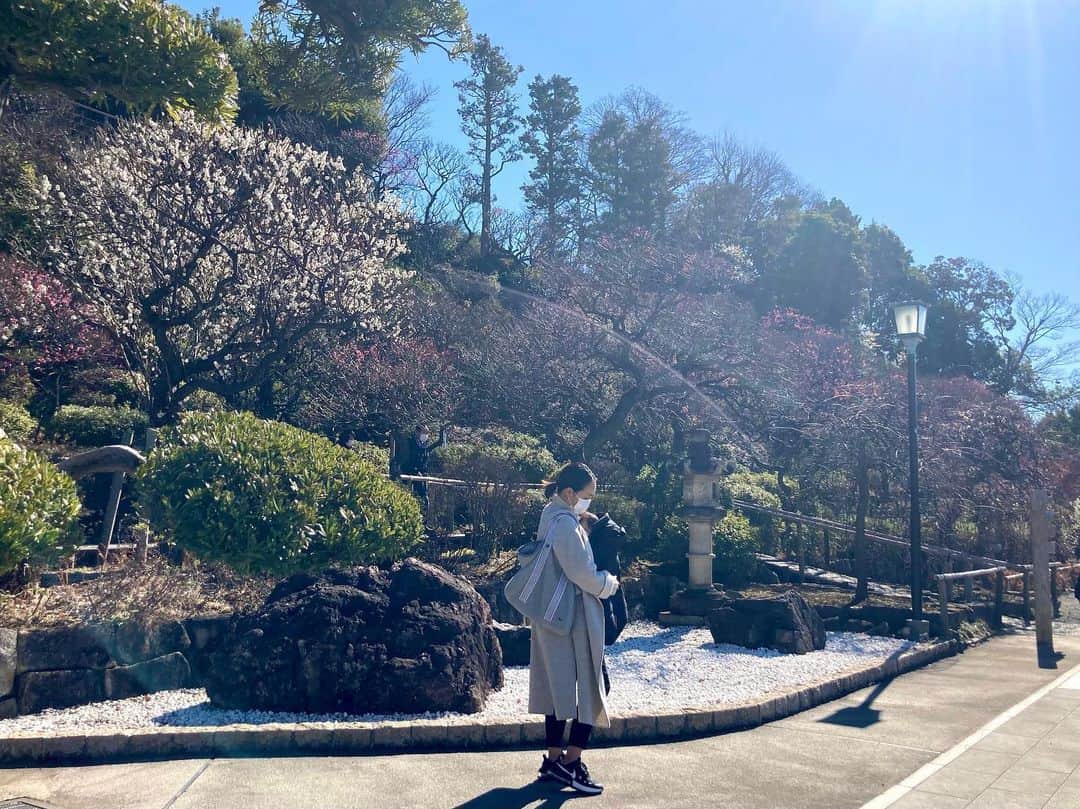 中山美香さんのインスタグラム写真 - (中山美香Instagram)「散歩☺︎ . . . #散歩 #梅 #花 #walking #flowers」2月9日 20時06分 - mika5nakayama