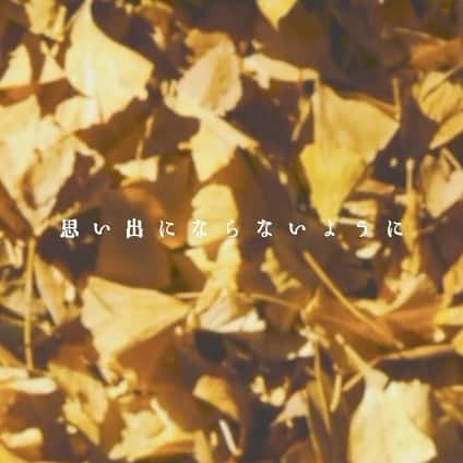 のインスタグラム：「2/11(木)Release「体温」  #松尾太陽 #ひかれあう体温 #広がれ太陽の輪」