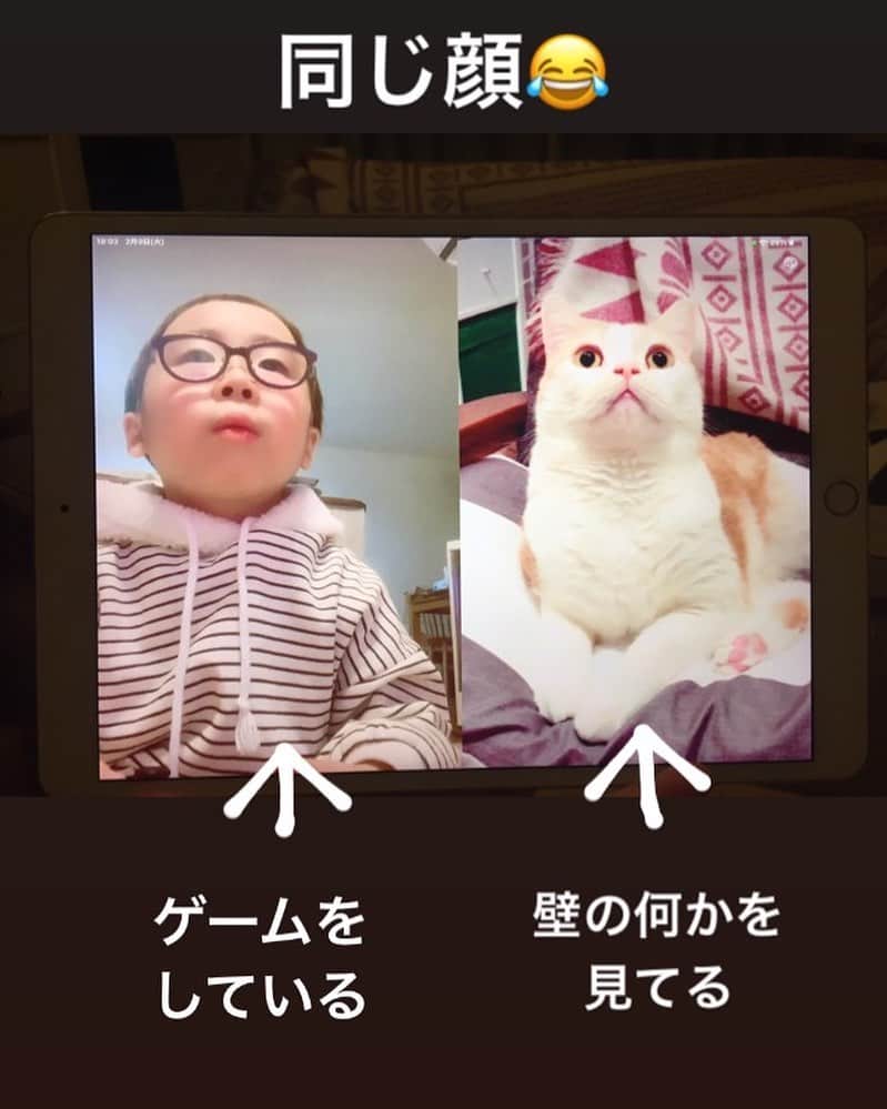 にゃんすくんのインスタグラム：「LINE電話にて。」