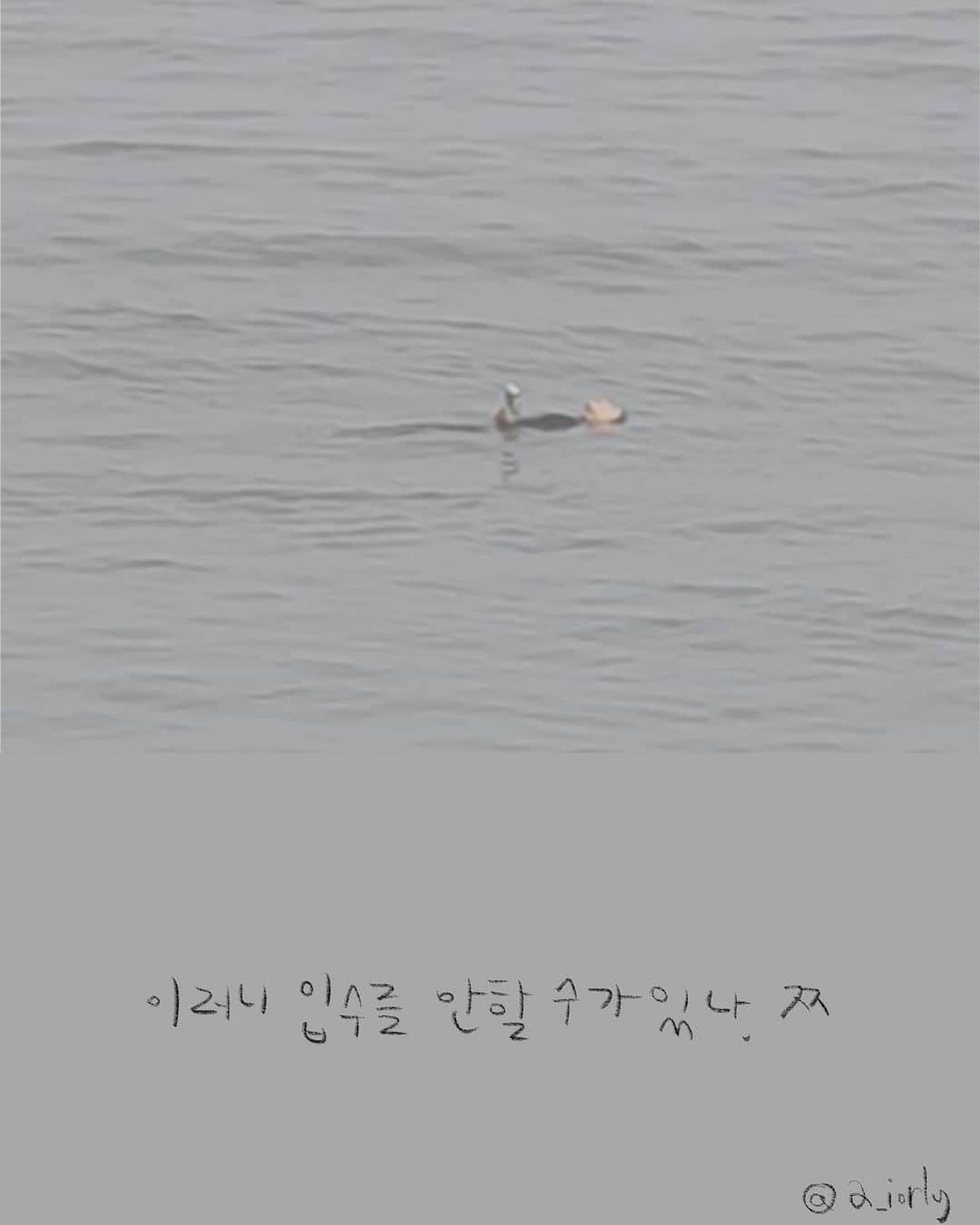 アン・ジヒョンさんのインスタグラム写真 - (アン・ジヒョンInstagram)「수용성.jpeg  #한손에는맥주들고#수트입으면안춥지 #띠리뚜비두루룹띠바 #서핑하고싶다  📷 @young_jin_a_je  #서핑일기#아이패드드로잉#프로크리에이트」2月9日 21時04分 - a_iorly