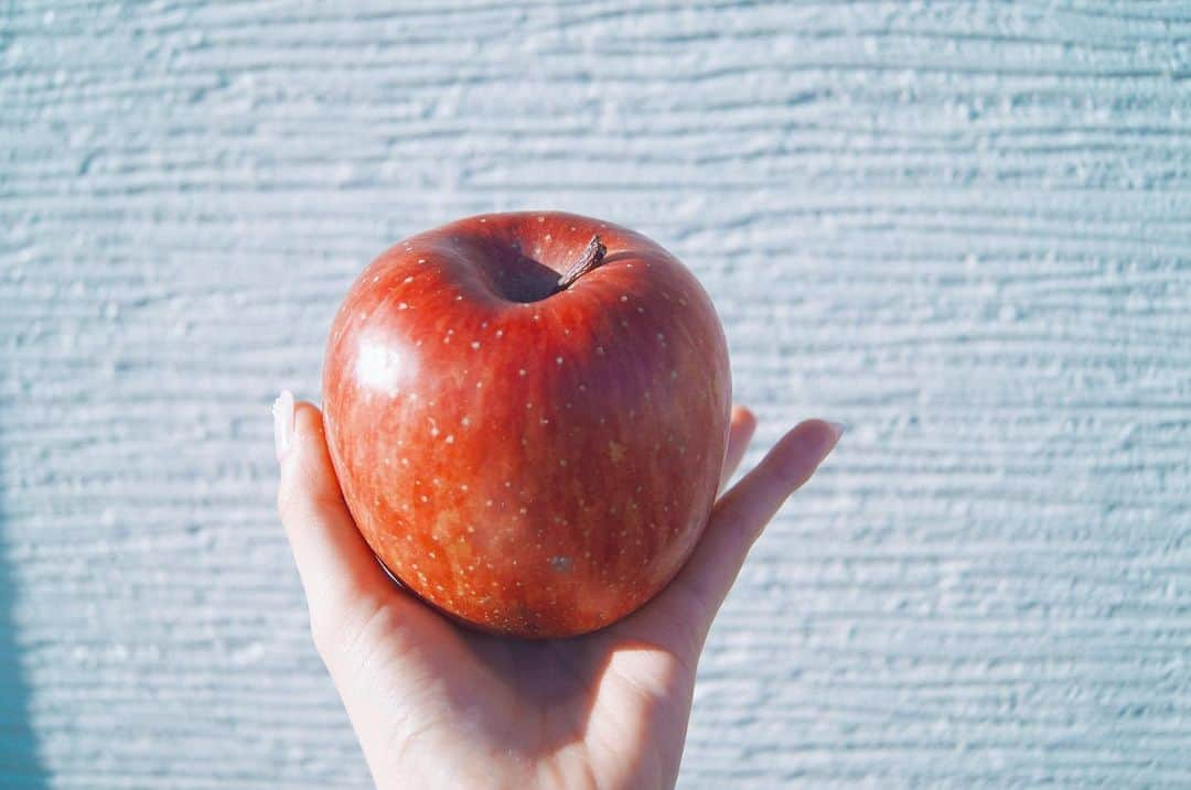 齋れいなさんのインスタグラム写真 - (齋れいなInstagram)「  食べる食べられ撮り撮られ🍎  *F4 *ISO200 *1/2000  #りんご#春服#いい天気#写真#ポートレート#被写体#カメラ好きな人と繋がりたい#カメラ女子#女子大生#齋れいな#ビジョビ#日本の女の子#カメラ女子#被写体女子」2月9日 21時05分 - itsuki_reina