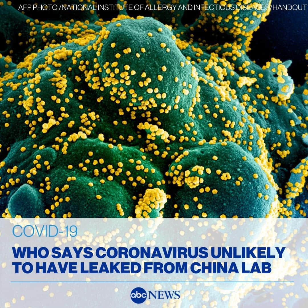 ABC Newsさんのインスタグラム写真 - (ABC NewsInstagram)「World Health Organization expert says the coronavirus is unlikely to have leaked from a Chinese lab and most probably jumped to humans via an intermediary species. MORE AT LINK IN BIO. #CORONAVIRUS #COVID19」2月9日 21時07分 - abcnews