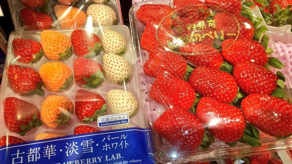 松坂南さんのインスタグラム写真 - (松坂南Instagram)「いっちーと、やりとりしてた日。  その後にスーパーに行ったら、なんか感化されたのか（笑）苺の大量買いしちゃった😃💓  きき苺でもするかなー？なんて思ってたんだけど、、普通にシェル子🐕️💓と数日で食べました  #love #苺 #strawberry  #古都華 #淡雪 #パールホワイト #しなのベリー  #ロイヤルクイーン」2月9日 21時25分 - minami_matsuzaka