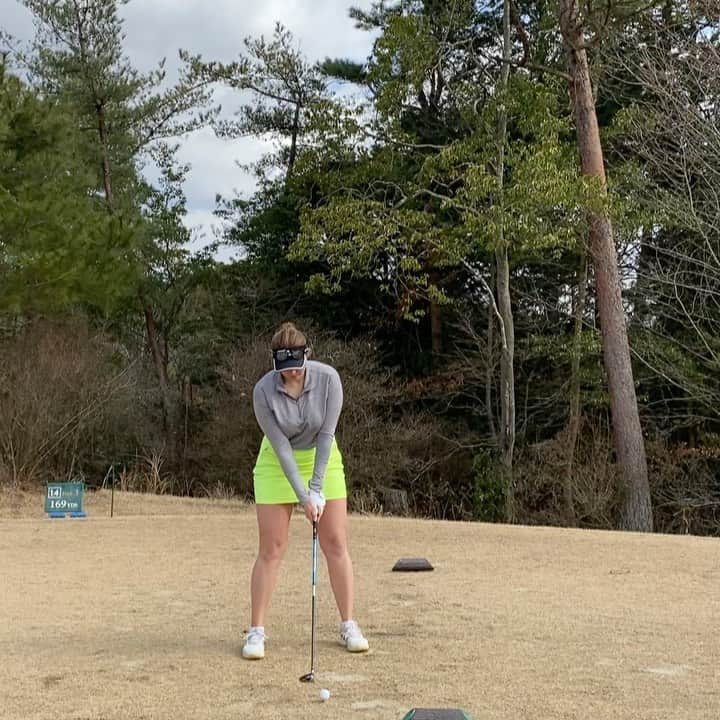 八巻セイラのグルメインスタ