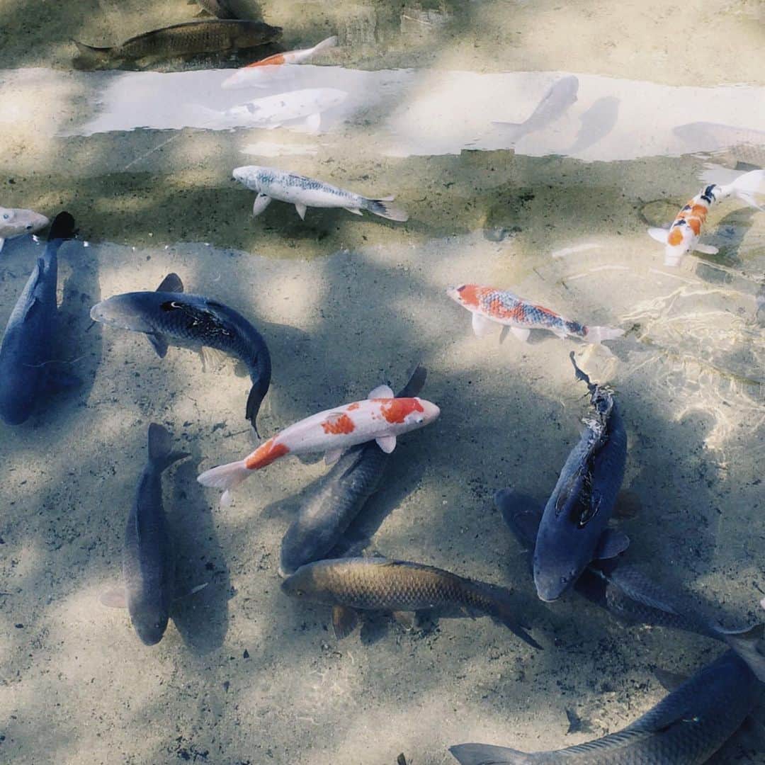 竹田城 城下町 ホテルEN（えん）のグルメインスタ