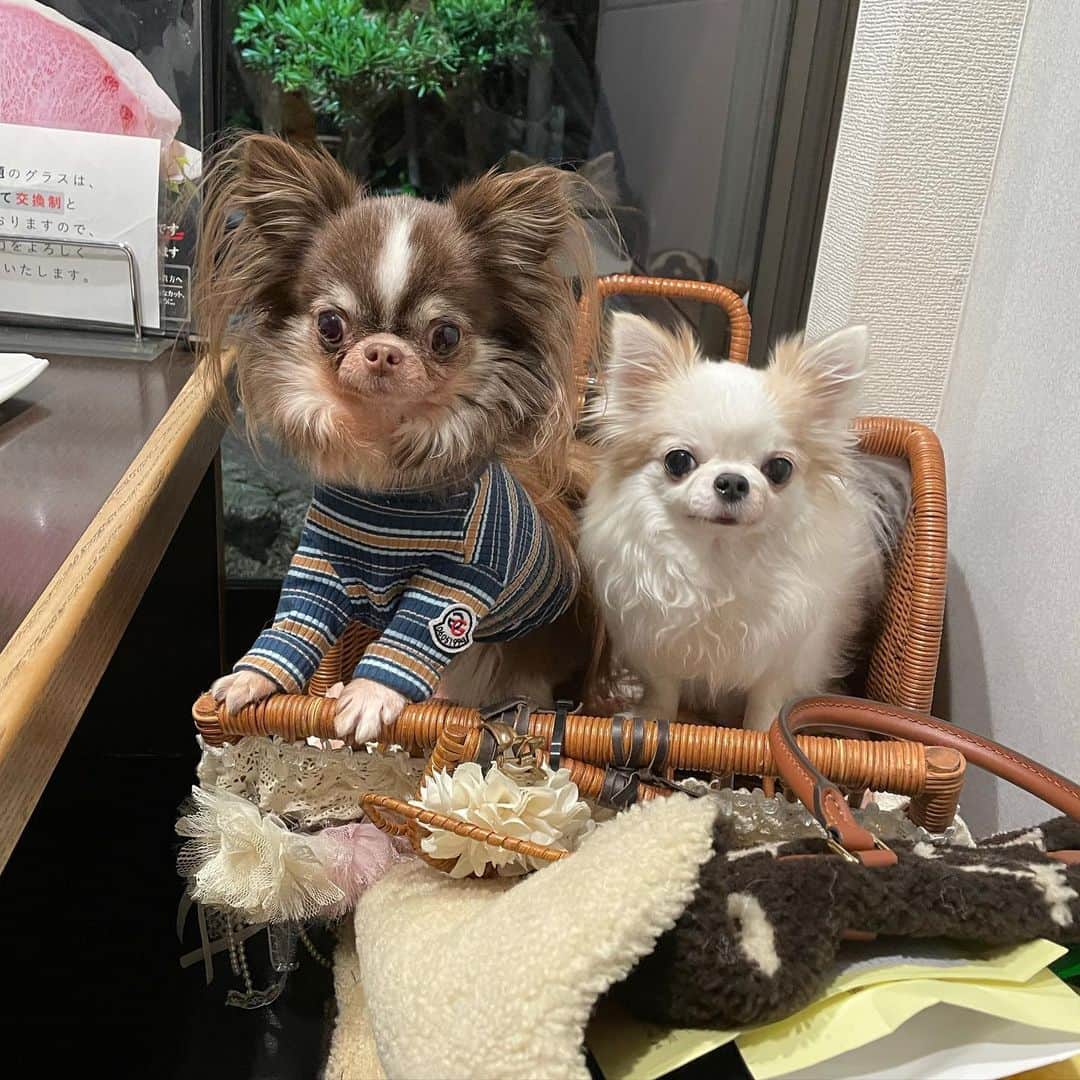 tetoyanyanのインスタグラム