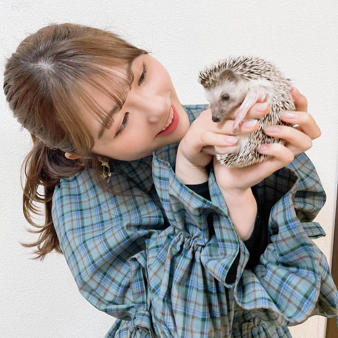 横島亜衿さんのインスタグラム写真 - (横島亜衿Instagram)「もずくと🦔💞 名古屋に長くいた時で髪の毛が🍮で少し恥ずかしいのですがこんなにもずくがちゃんと写真を撮らせてくれるのは珍しいので載せます🥺  あと先日いつもお世話になっているリゼクリニック( @rizeclinic )へ行ってきました〜！効果が目に見えて分かるから通っています✌️」2月9日 22時05分 - _aeri_yokoshima