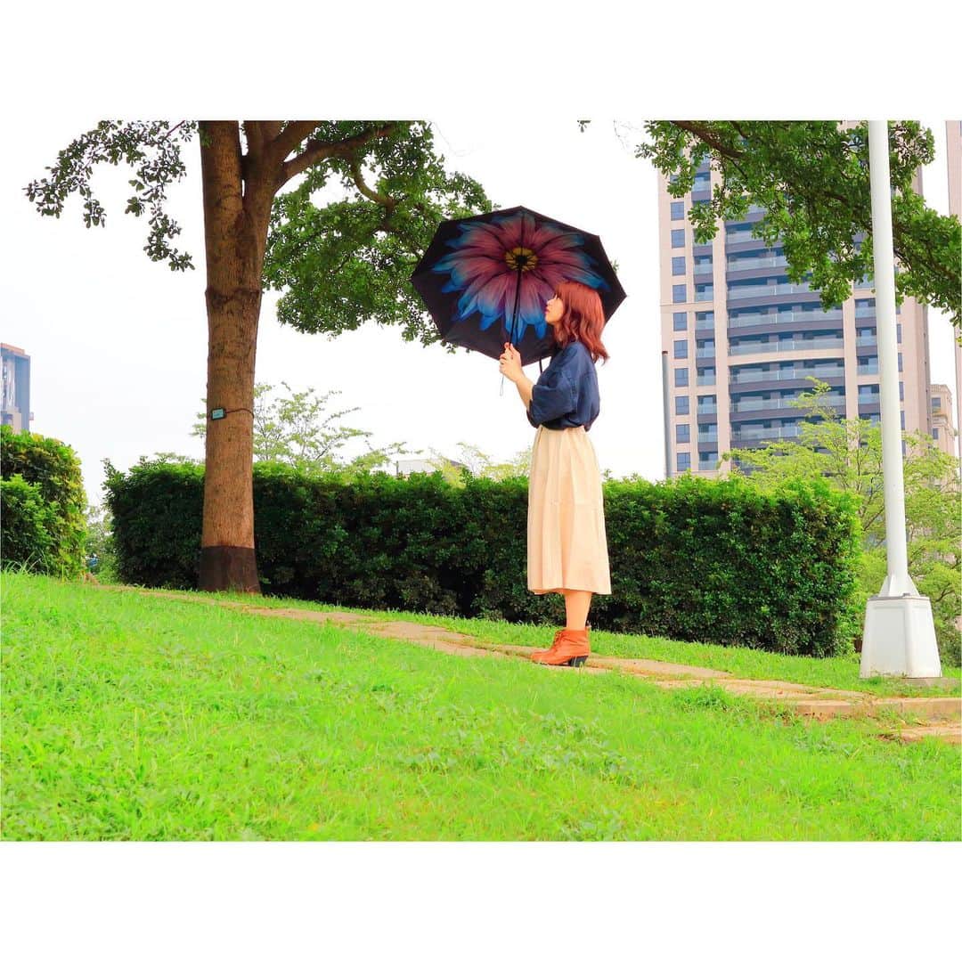 馬嘉伶さんのインスタグラム写真 - (馬嘉伶Instagram)「🍵 #好きな写真 . 雨が降ったので☂️をさしたら ☂️の中にお花が咲いた🌸💙」2月9日 22時04分 - macyacyarin