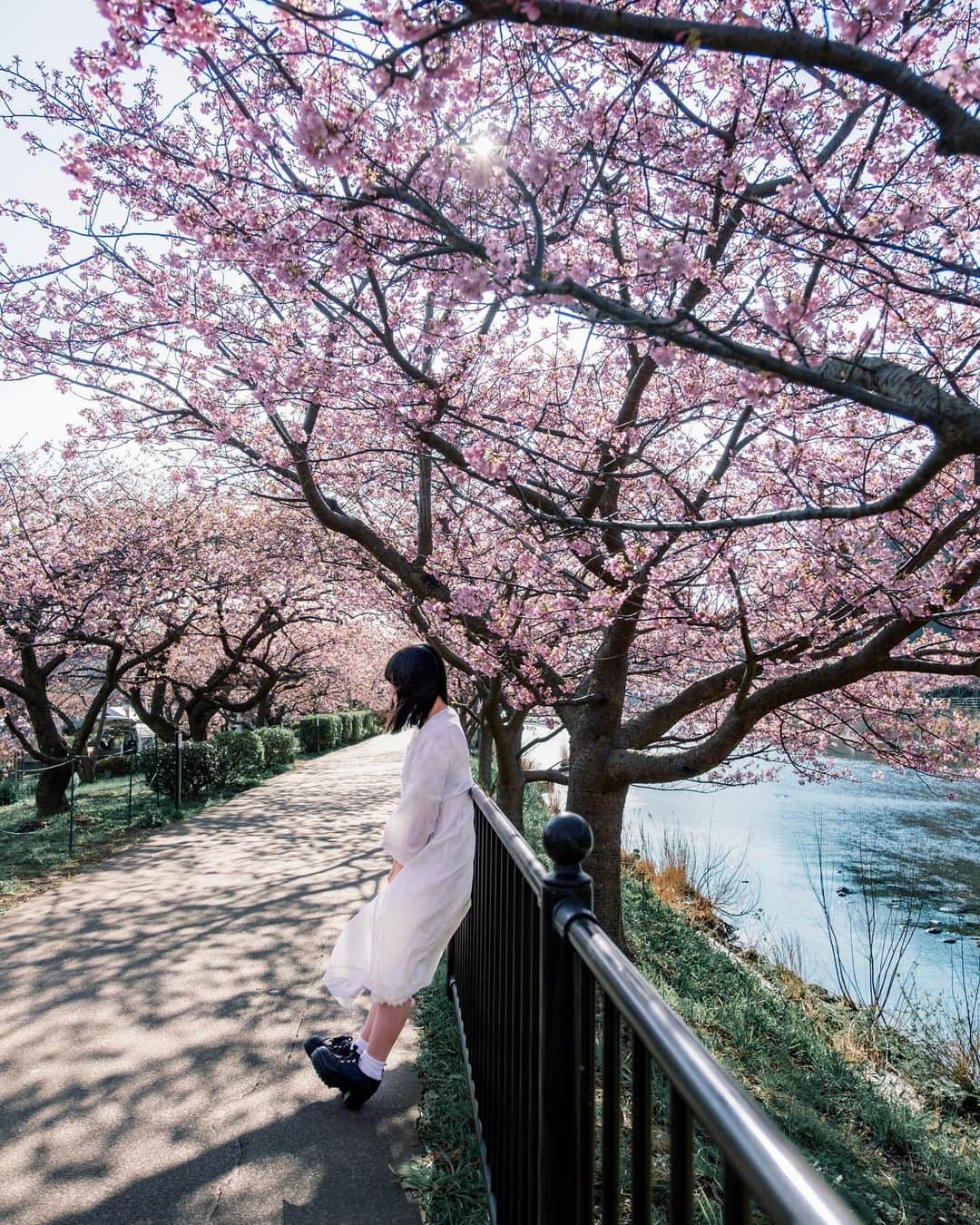 shabonのインスタグラム：「* . . . . . ✿ ❀ . . FUJIFILM X-PRO3 /  XF16-55mm F2.8 R LM WR . . . . . *  #igersjp #tokyocameraclub #東京カメラ部 #team_jp_ #photo_shorttrip #japan_of_insta #GPW_members_only #hellofrom #genic_mag #as_archive  #worldviewmag  #ファインダー越しの私の世界 #artofvisuals #art_of_japan_ #ig_phos #daily_photo_jpn #jp_mood #lovers_nippon_portrait #japan_daytime_view #dreamermagazine #moodygrams #ギャラリームジン #人物写真 #fujifilmxpro3 #xpro3 #Fujifilm #1x  #fujifilm_xseries #今日もx日和 #河津桜」