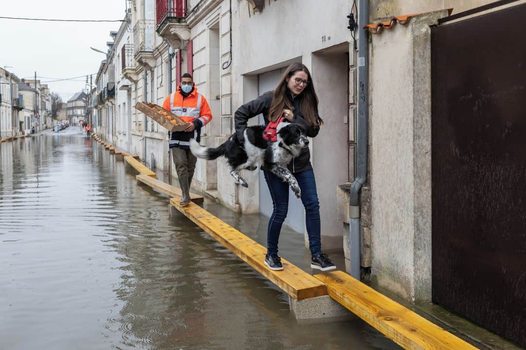 ルモンドのインスタグラム：「Quadrillées par l’ensemble des forces d’interventions, quarante-six rues de Saintes (Charente-Maritime) étaient encore, en ce début de semaine, totalement ou partiellement inondées. La commune vit une inondation exceptionnelle : la Charente a atteint 6,20 mètres lundi. La dernière crue record de 1994 − comme celle de 1982 − avait vu le fleuve monter jusqu’à 6,30 mètres.⁣ Aux côtés de Mme Abba, secrétaire d’Etat chargée de la biodiversité, en déplacement dans la commune, le maire de Saintes, Bruno Drapron (LDVC, liste divers centre) a annoncé que les dossiers de reconnaissance de catastrophe naturelle − qui concernent aussi plusieurs autres « collègues maires » − seront remis directement au ministère. « Maintenant, ce qui va compter, c’est de reprendre une vie normale rapidement », a ajouté l’édile. Car contrairement à la dernière crue de 1994, qui « était montée lentement », l’épisode de 2021 est arrivé « très vite ». Environ un millier de maisons ont été touchées, et plus de deux cents personnes évacuées par les pompiers de Saintes, appuyés par des équipes de la sécurité civile : trente-deux personnes sont arrivées en renfort le 6 février.⁣ -⁣ 1-8 : Dans les rues de Saintes le 8 février, les habitants circulent sur d’étroites planches de bois posées sur des parpaings⁣ 2 : Louis Ardouin, habitant de Saintes, est évacué en bateau⁣ 3 : Valerie Yenk et son fils Antoine, restaurateurs, dans leur local inondé⁣ 4 : Bérangere Abba, secrétaire d’Etat auprès de la ministre de la transition écologique, et Bruno Drapron (a droite), maire de Saintes⁣ 5 : Anick et Christian Baillieux doivent traverser la zone inondée pour aller faire leurs courses⁣ 6 : Lieutenant Antoine, chef du détachement des formations militaires de la sécurite civile⁣ 7 : Michèle Martin, son mari Janick et leur chatte Chanel, sont évacués par des sauveteurs⁣ -⁣ Photos : Yohan Bonnet (@yohanbonnet) #PourLeMonde⁣ -⁣ #crue #meteo #Charente」