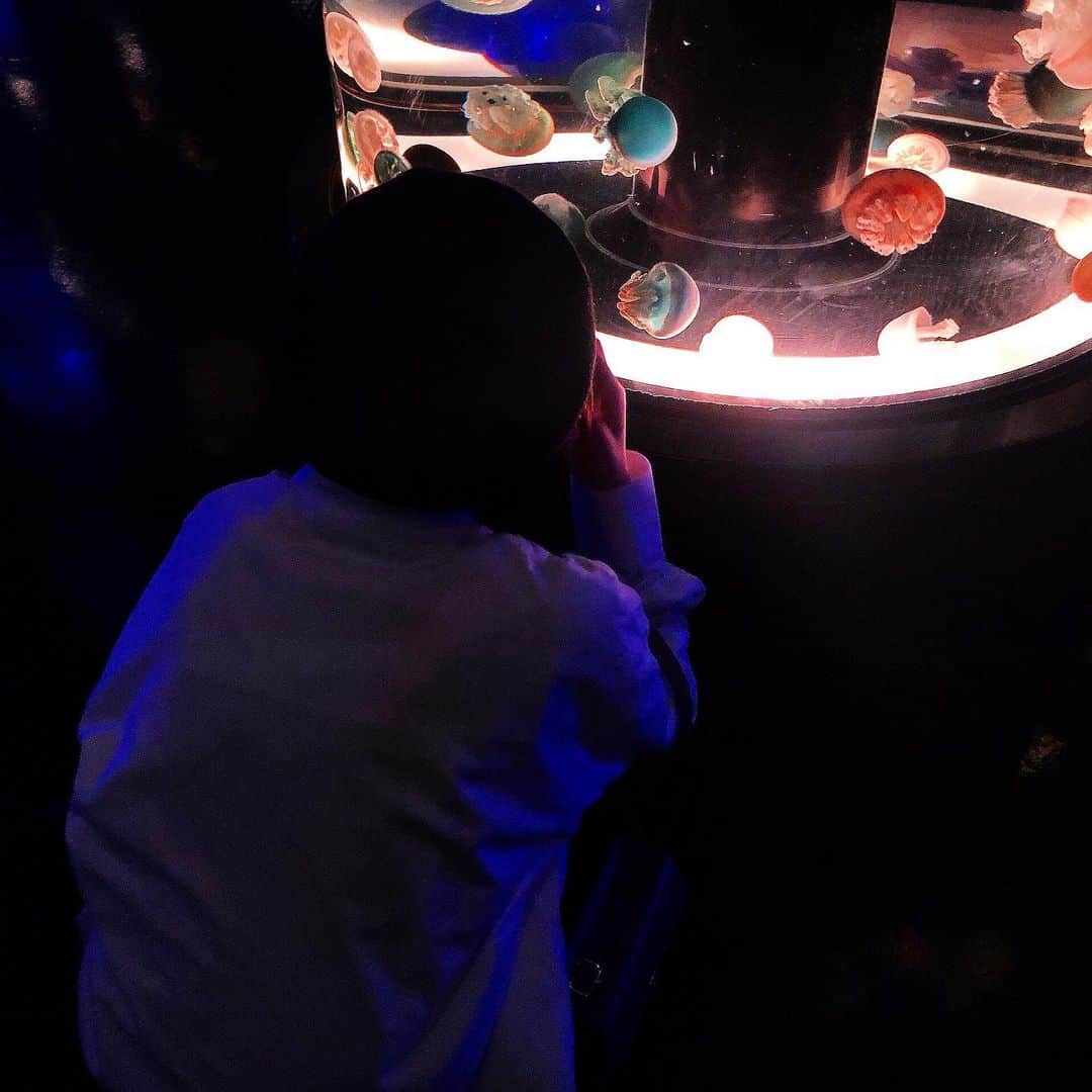のインスタグラム