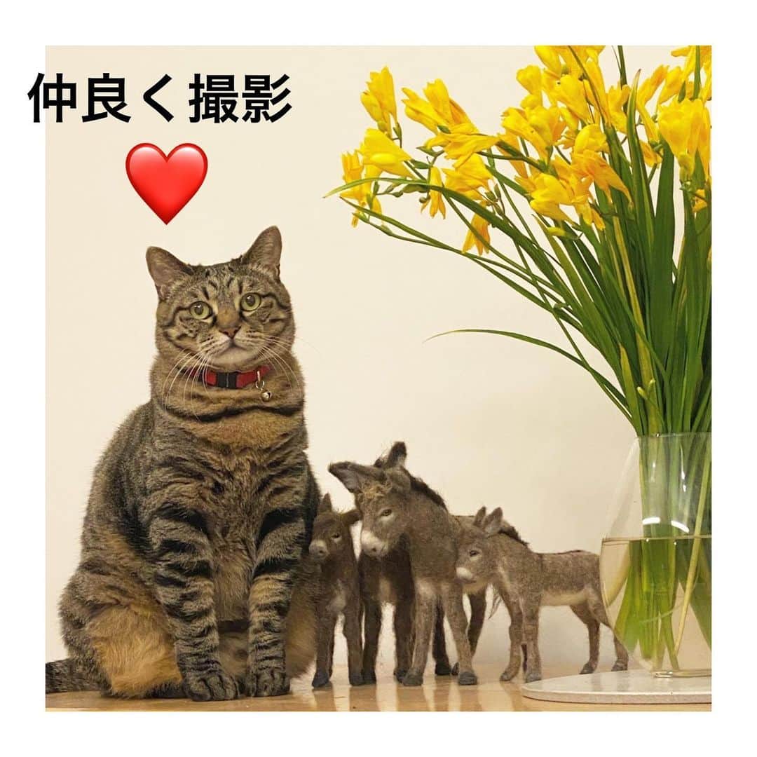 中野明海のインスタグラム