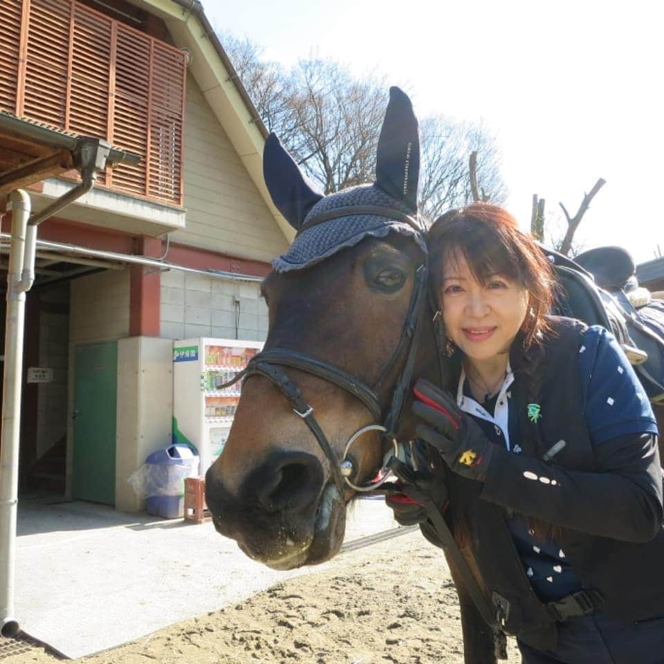 宇月田麻裕さんのインスタグラム写真 - (宇月田麻裕Instagram)「2/3立春　乗馬日記「おー、感激！」どん   乗馬日記いきまーす。  水曜日の相棒は、久しぶりの　どんちゃん。色々なことができて、めっちゃ楽しかったアイドル...    ブログに載せています！  どんちゃんは、木村佳乃さんとエルメスの宣伝に出ています。 アイドル顔をしていて、本当にかわいい顔。 ちゃんと目から目線をします。 いい子なので、近くに寄って写真を撮っても大丈夫！ 私の顔に鼻息を吹きかけてきて可愛い❤   ということで、   レッスンは、「どんちゃん」＆Ｔ先生。   最初から、良い感じの気配。  どんちゃんの癖か、試しか？ ボロする振りして？　止まります。  それでも、先生の指示により、どんどん、どんちゃんはやる気に。  先生ありがとうございます。   ほんと、さくさく、  良い感じ💖   手前を変えるのと巻乗り。 どんちゃん、さくさくと動いてくれて、 すんなりできました♪ いやー、うれしい！ とても、良い動き。   ラスト、駈歩に挑戦。  どんちゃんで、初駈歩。    「おー！どんちゃん、やったね」  どん「少しだけね」  先生「3周続けられたら良しです」   私、1/3周💦  ということで、ほんの数歩。 初駈歩に感激して、続けられなかった💦  皆さんが、変な駈歩と仰っているのをお聞きしますが、 こんな感じなのですね。 あまり変だとは思わなかったような。 クリアキーのほうが、私的には変かも💦  先生より  「内側に倒れる」  「外方の手、脚を踏む」  これが、レッスンのポイント。 外方が大事なんですね。   楽しかった～♪  先生が、素敵に写真を撮ってくださいました♪ どんちゃんのあご毛が気になる～。 乗馬日記、次回に続く。」2月9日 23時26分 - mahiro_utsukita