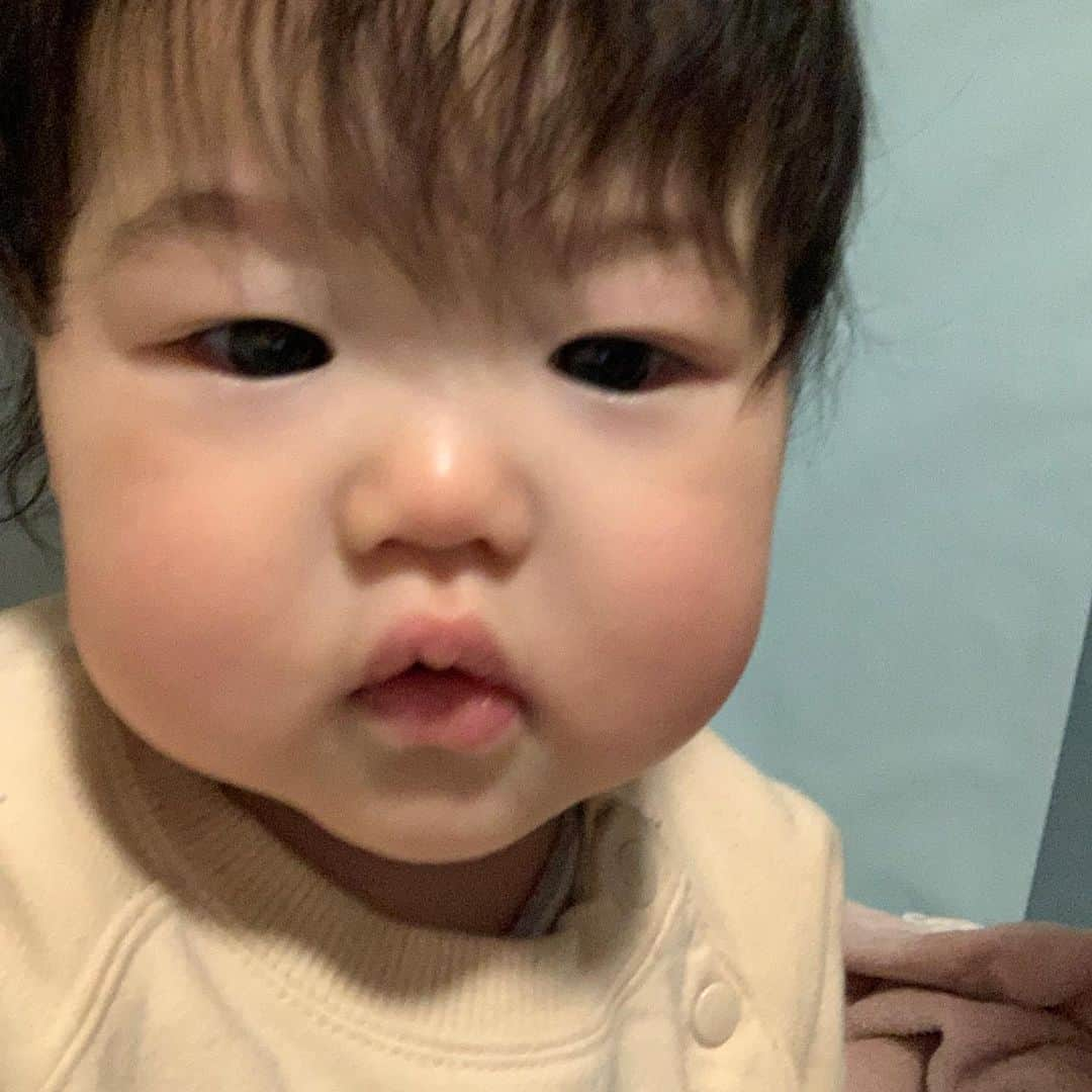 Miki Hirookaさんのインスタグラム写真 - (Miki HirookaInstagram)「2021.2.6 生後10ヶ月を迎えました👶  ついに歩き出したゴジラ🦖 立ってから歩くまでが早かった…😅  自由に動けるようになってから もう止まらん💨 ほんま止まってへんよな？てくらい動き続けてる🌀笑 そしていろんなものを破壊して楽しんでる🦖 ほんま目離せませんけど😑 後追いもえげつないですけど😑トイレの扉の前で爆泣きされますけど😑笑  どんどん大変になる部分と、どんどん可愛くなる部分が半々❗️笑  とにかく元気モリモリに成長してまーす🐥  とりあえず寝起きのブサイクさをなんとかしよか…。 二日酔いのかーちゃんの顔とおんなじやで。笑  #生後10ヶ月 #ぐんぐん成長中 #ムチムチガール #寝起きブサイク系女子 #寝起きだけじゃないとか言わんといてね #二日酔いじゃないよ #それでも #全てが愛おしい #親バカ万歳 #アイシテルがトマラナイ」2月10日 10時29分 - miki_hirooka