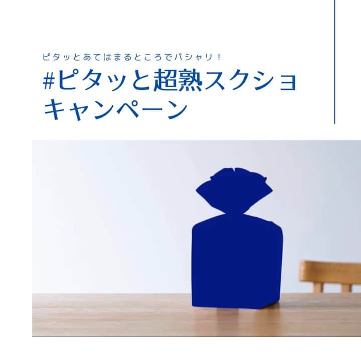 Pasco/敷島製パン株式会社のインスタグラム：「【キャンペーン実施中】できたら奇跡！? #ピタッと超熟スクショ キャンペーン🍞  右から左へとピュンっと駆けぬける#超熟 🍞 青い枠にピタッとはめこむことができますか？ ぜひ、ここだ！！と思うタイミングでスクリーンショットを撮ってみてください📸 ピタッとはまっても、はまらなくても、どんな結果でも大丈夫👍  その撮ったスクリーンショットに、ハッシュタグ　#ピタッと超熟スクショ をつけて投稿してください📱  抽選で10名様に、好きな厚さにカットして楽しめる3斤分のながーい#超熟ウインドスライス とPascoのオリジナルマスキングテープをプレゼント🎁  キャンペーン期間は2月10日(水)〜21日(日)まで😆 この期間中に、公開アカウントから投稿されたスクリーンショットのみ有効となります📸  当選された方には、2月25日(木)までにDMでお知らせします💌 DMを受け取れるよう設定をお願いします📱  ⚠偽アカウントが増えてきていますので、DMを開封するときには送信元をしっかり確認してくださいね⚠  〈Pascoの公式Instagram〉@pasco.jp  Pascoスタッフも挑戦しましたが、これがなかなかむずかしい💦 ピタッとはめられたあなたはなにか良いことがあるかも！？  みなさまからのご応募お待ちしております😆❤  ※動画は全部で3種類🍞好きなパターンでスクショを撮ってね✨  #Pasco #パスコ #超熟 #超熟いいね #超熟のある暮らし #ピタッと超熟スクショ #超熟ウインドスライス #マスキングテープ #プレゼント #スクショキャンペーン #キャンペーン」