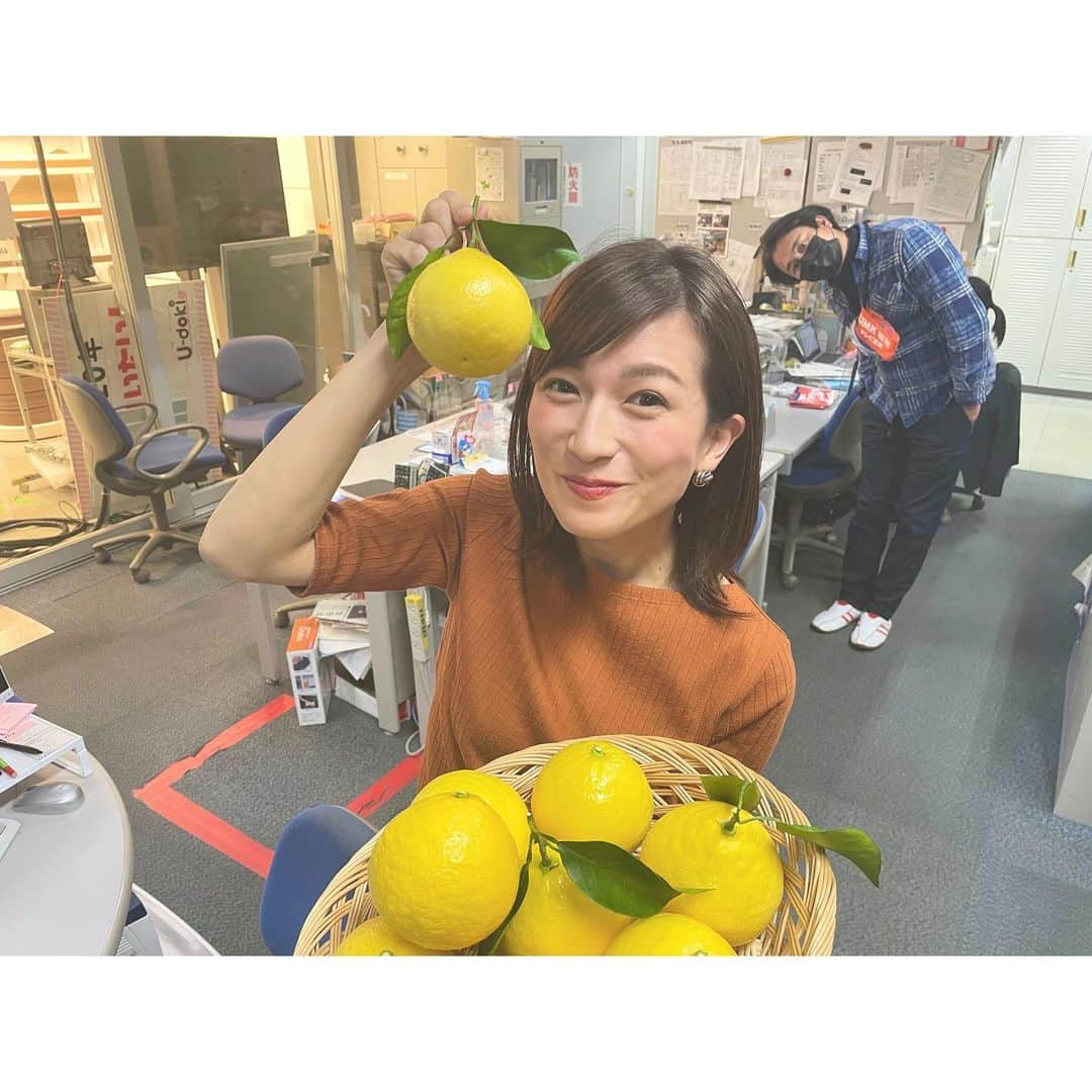 武田華奈のインスタグラム：「. きのうは日向夏のハウスにおじゃましました。 奥さまが、ご主人のことを「黄色のダイヤモンドを作る人です」と。 とっても素敵な言葉だな〜 この煌めきと美味しさ、まさにその通りです🥺🍊✴︎ #umk #テレビ宮崎 #スーパーニュース #コレ旬 #イケメンカメラマンもカメラ目線」