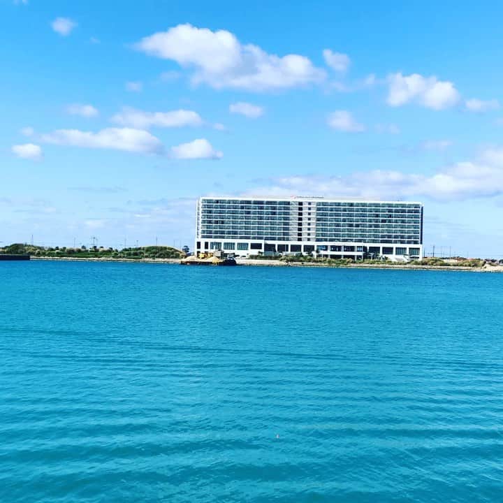 のインスタグラム：「. 港側から📸  港内の海もきれいで 色んな魚が見えますよ🐠🐡  #糸満漁港 #糸満 #沖縄 #魚 #サザンビーチホテル」