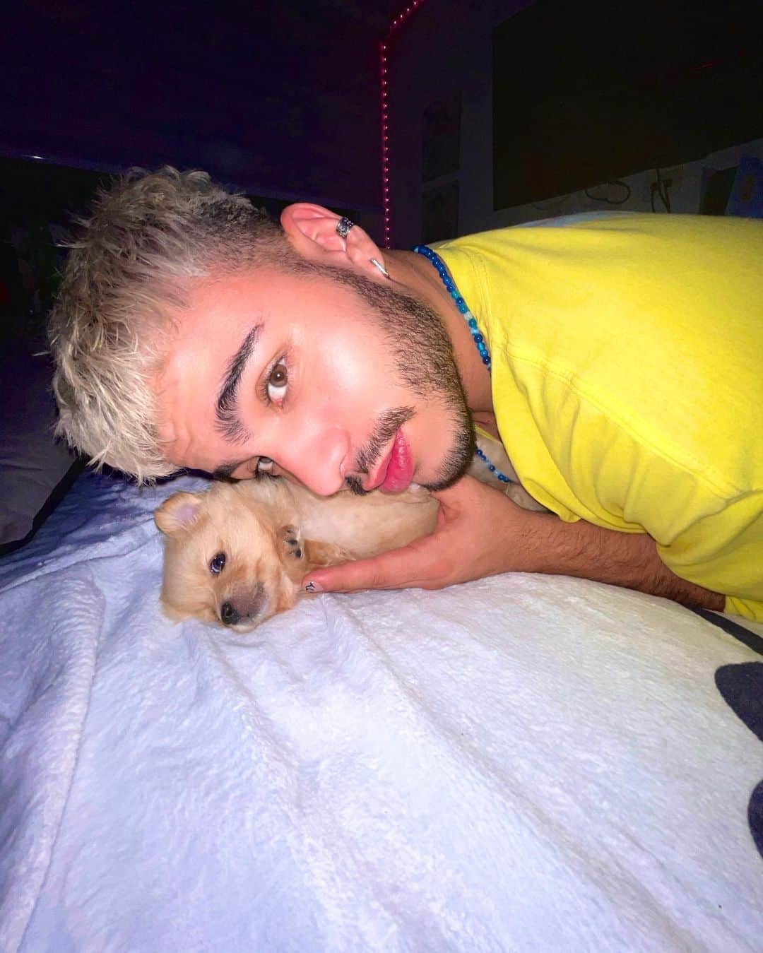Sebastián Villalobosのインスタグラム：「Teo 🐶✨」