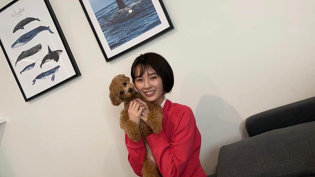 のインスタグラム：「無事に奥さんとむぎが到着、1ヶ月ぶり😁 普段ご飯作って、洗濯して、掃除してって 改めて当たり前じゃないなと…  ここ最近は過密日程の中戦績は良かった。 カップ戦は負けたのでリーグでもっと上にいきたい  これでまた頑張れる^ ^」