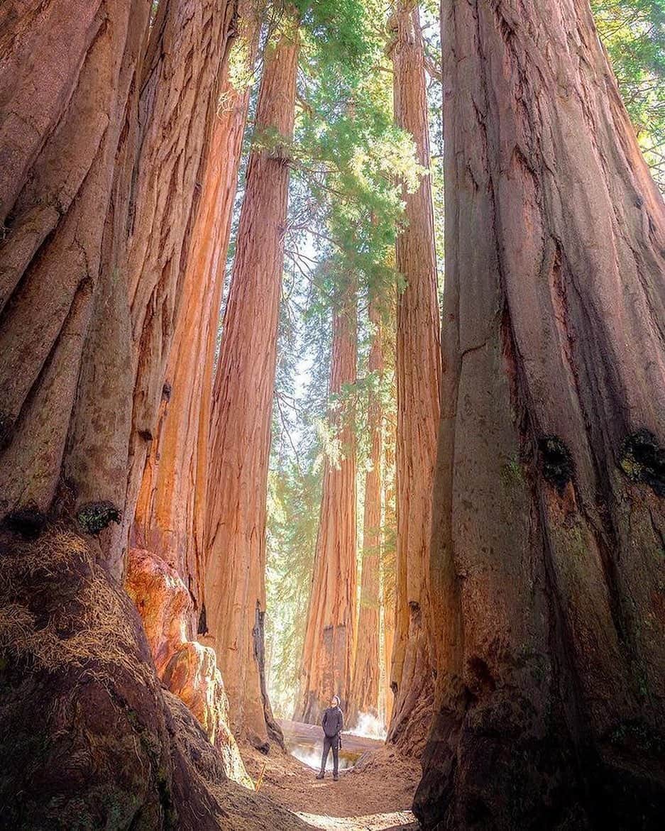 instagoodのインスタグラム：「Hey everyone my name is Michael Castaneda @_mcastaneda_ and I am a photographer based in LA and today I will be doing a takeover of @instagood. I was born and raised in Florida and used to be a guy that never wanted anything to do with nature. I worked non stop and at a job I didnt really enjoy until one day I just decided to quit my job and sell practically everything I owned to drive West and start a new life. It was on this drive that I fell in love with photography by trying to capture the various new landscapes I encounter along my way. Follow along throughout the day as I showcase some of my favorite images and give a little more insight about how photography has helped define who I am.」