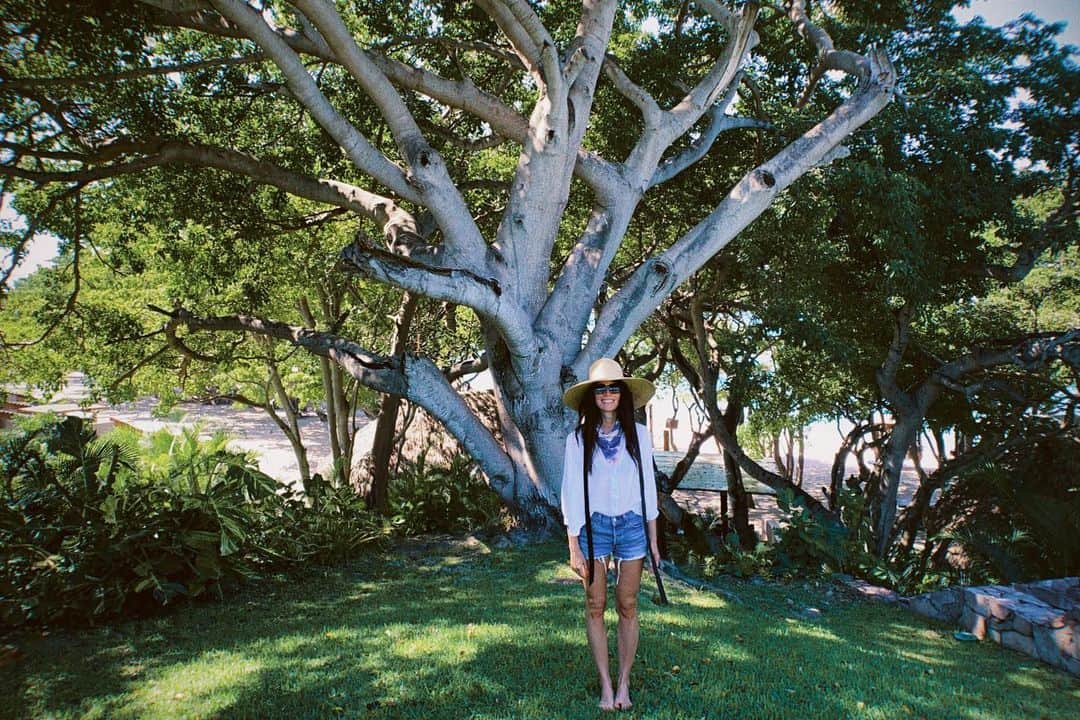 アビゲイル・スペンサーのインスタグラム：「Natural habitat. Amidst the trees by the sea. Can’t wait to travel again. ✈️ 🌴🌊. @fspuntamita #fspuntamita」