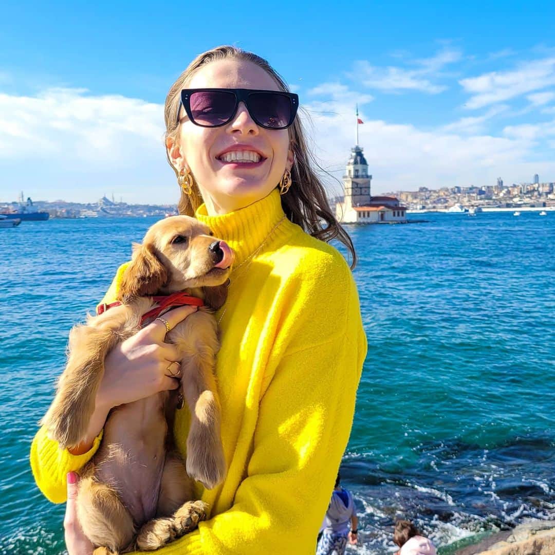メリティナ・スタニウタさんのインスタグラム写真 - (メリティナ・スタニウタInstagram)「🐶🐶🐶 ⠀ #turkey #istanbul #dog #puppy #bosphorus #girl #istanbul #samsungbelarus #galaxyzflip #стамбул」2月10日 2時14分 - melitinastaniouta