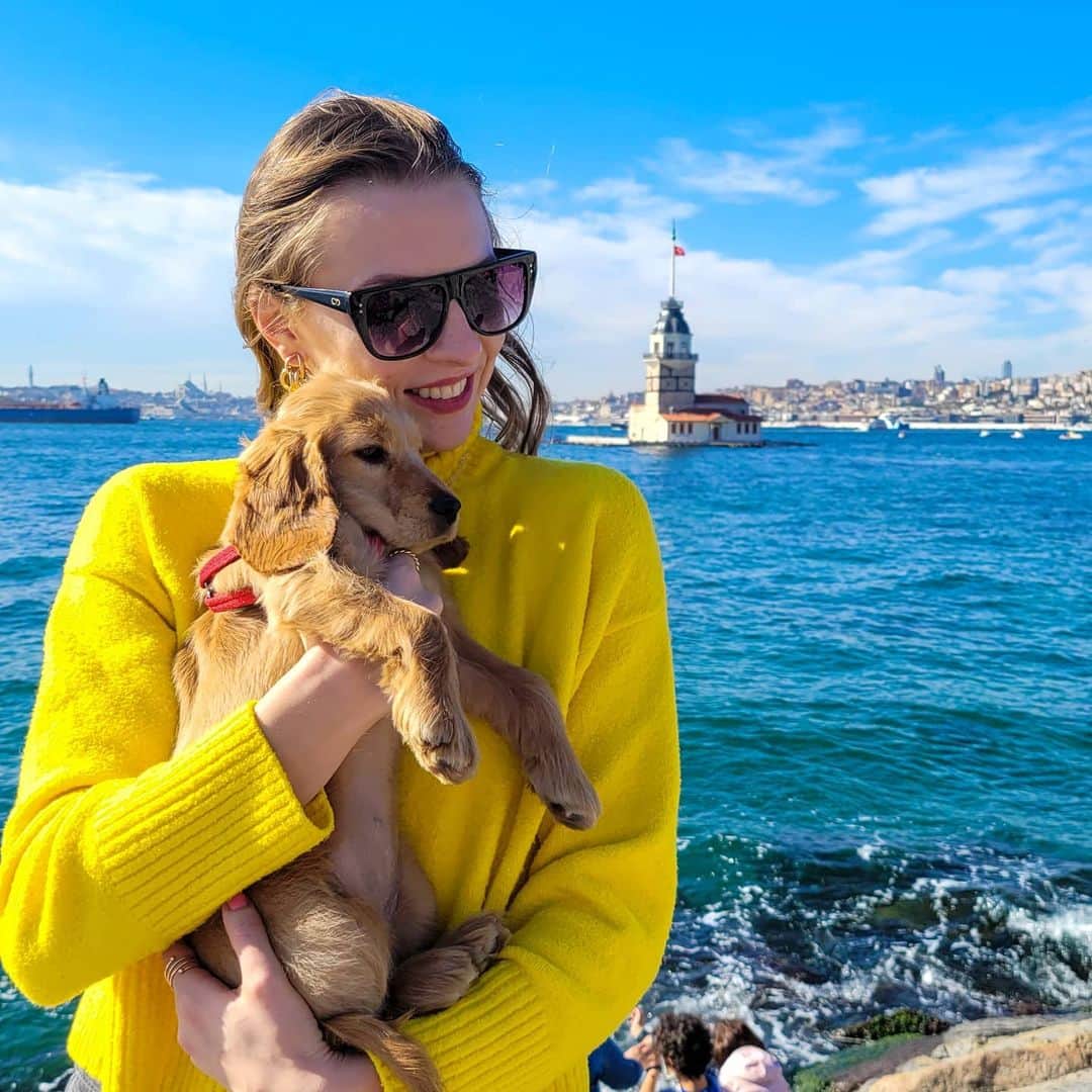 メリティナ・スタニウタさんのインスタグラム写真 - (メリティナ・スタニウタInstagram)「🐶🐶🐶 ⠀ #turkey #istanbul #dog #puppy #bosphorus #girl #istanbul #samsungbelarus #galaxyzflip #стамбул」2月10日 2時14分 - melitinastaniouta